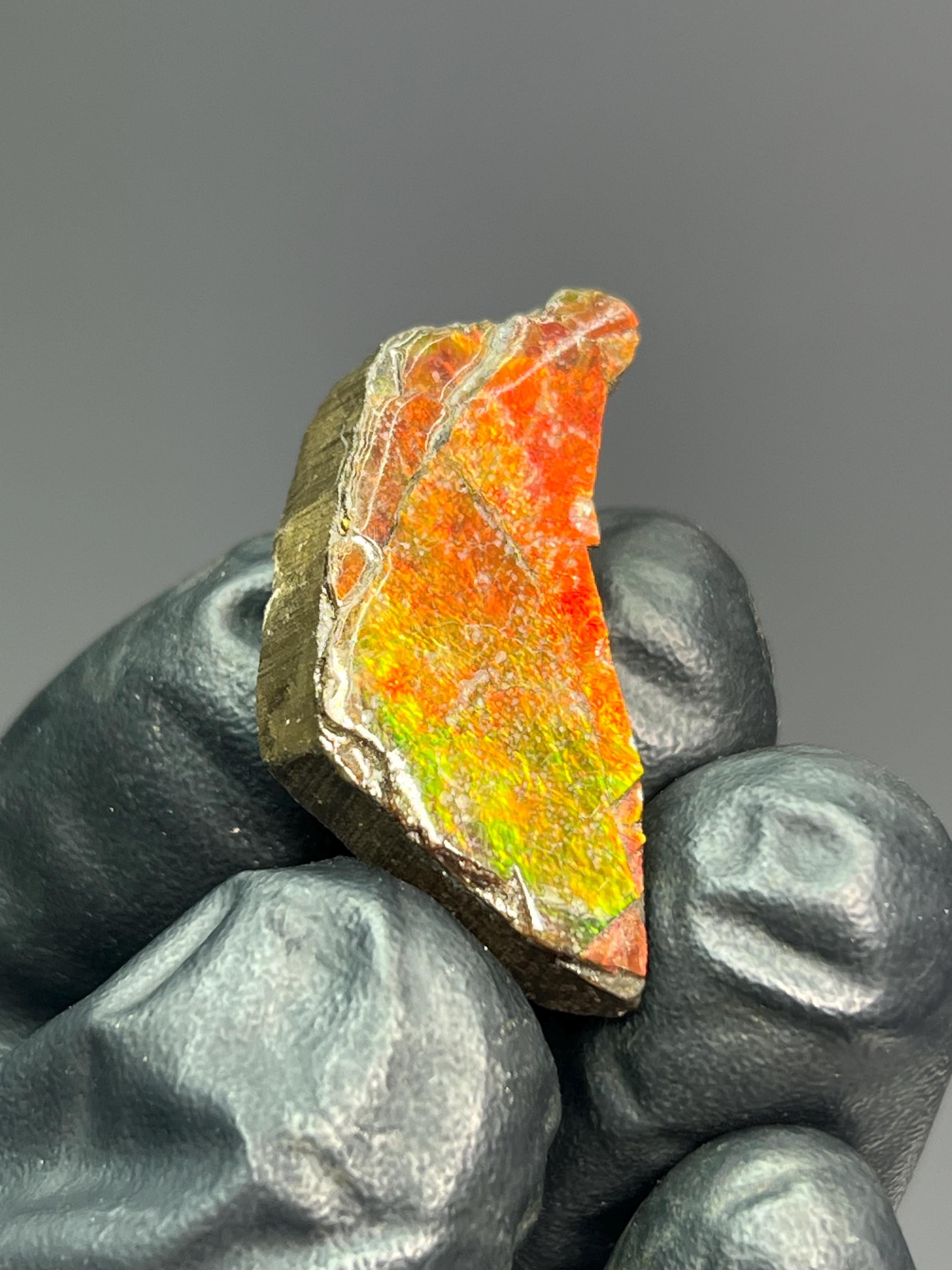 Iridescent Ammolite Specimen - Crystal Gemstone AE 