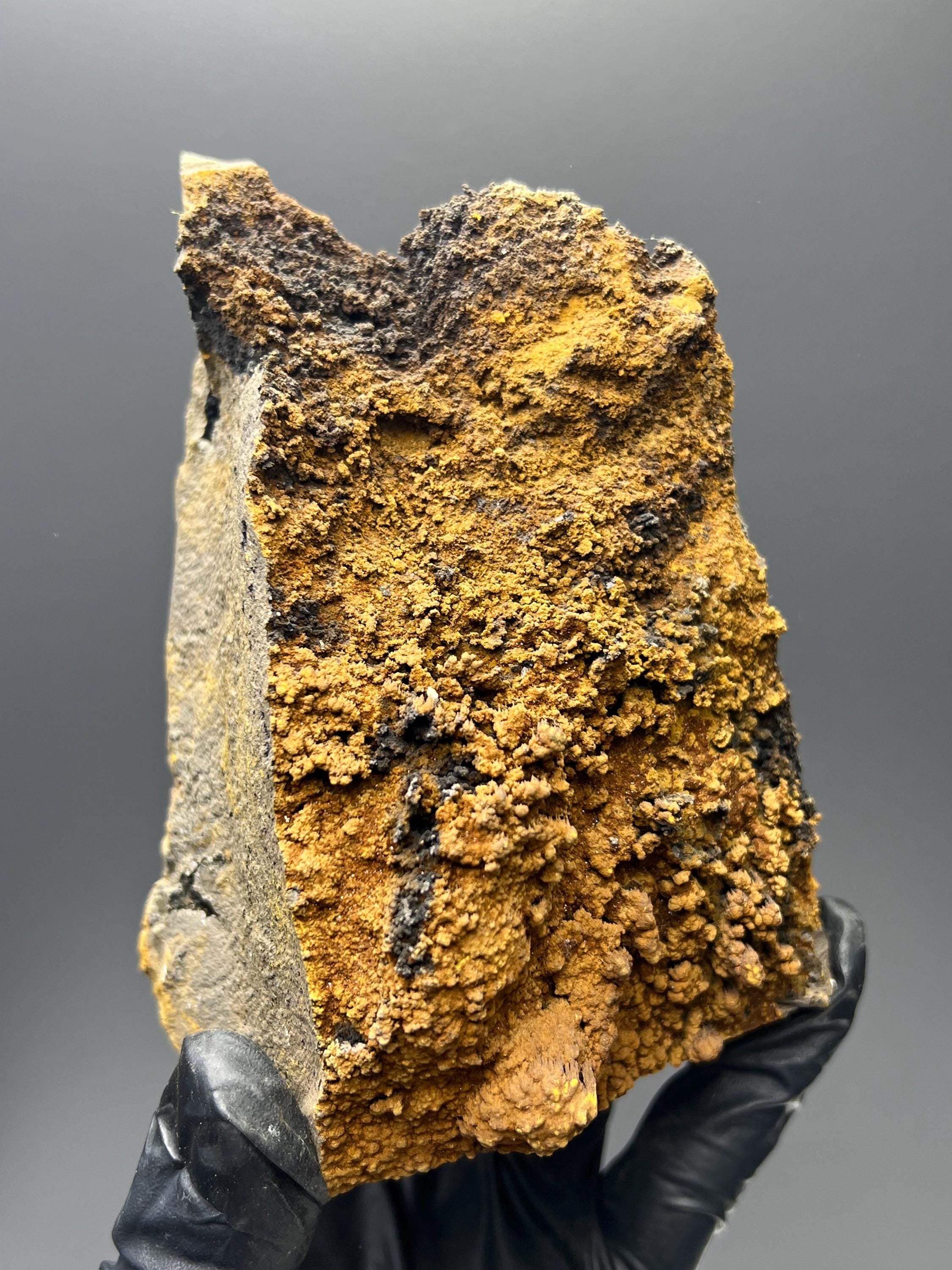 Limonite With Small Stalactites Goethite Specimen - Crystal Gemstone AE 