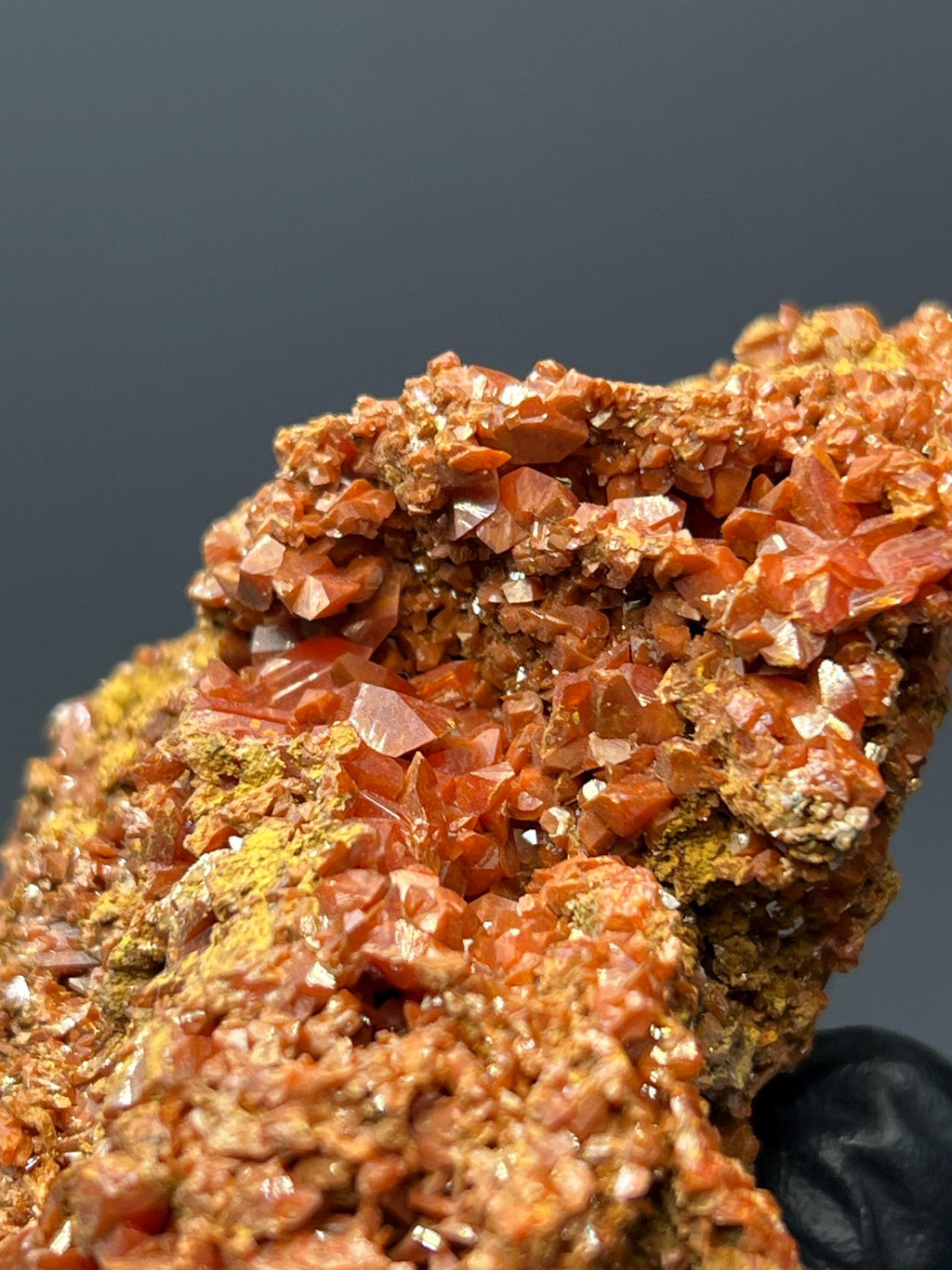 Adelaide Mine Crocoite Specimen - Tasmania Red Crystals - Crystal Gemstone AE 