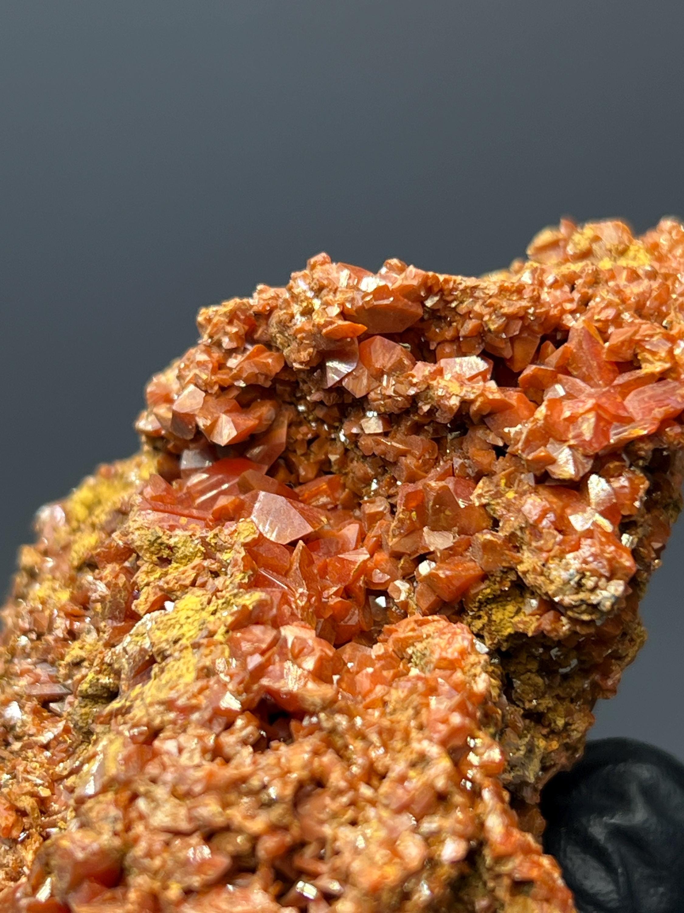 Adelaide Mine Crocoite Specimen - Tasmania Red Crystals - Crystal Gemstone AE 