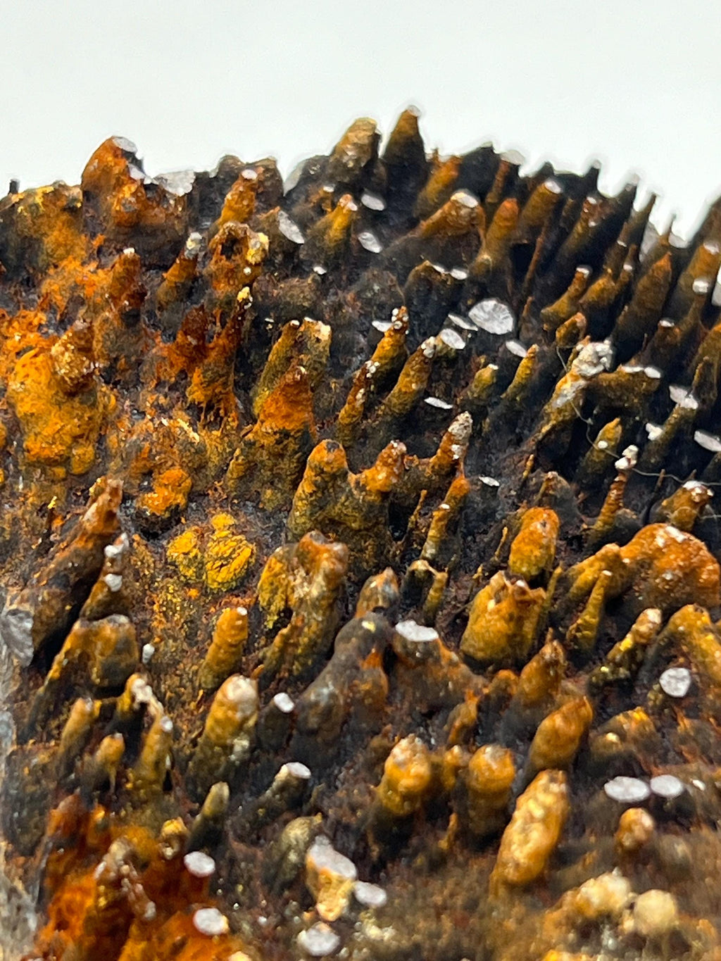 Museum quality, Very Special, Limonite With Stalactite Goethite, From Turkey, Special Collection Piece - Crystal Gemstone AE 