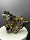 Very Showy, Limonite And Specularite With Stalactite Goethite Specimen - Crystal Gemstone AE 