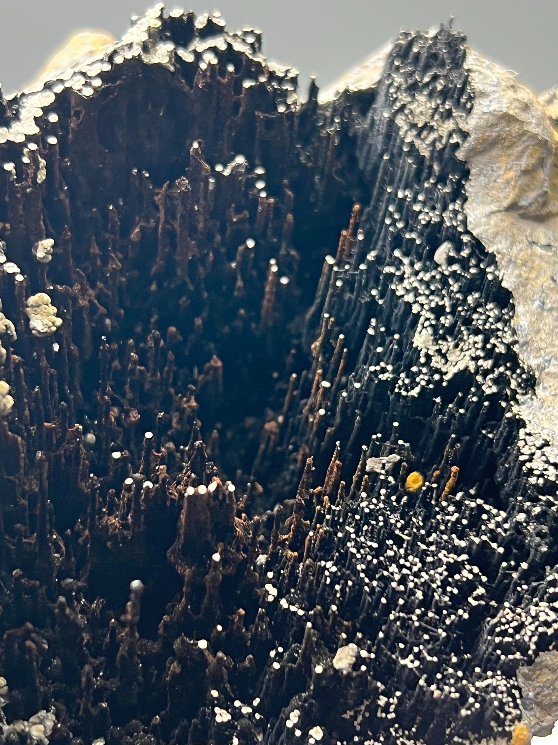 Museum Grade, Very Special Specularite And Limonite With Stalactite Goethite Specimen - Crystal Gemstone AE 