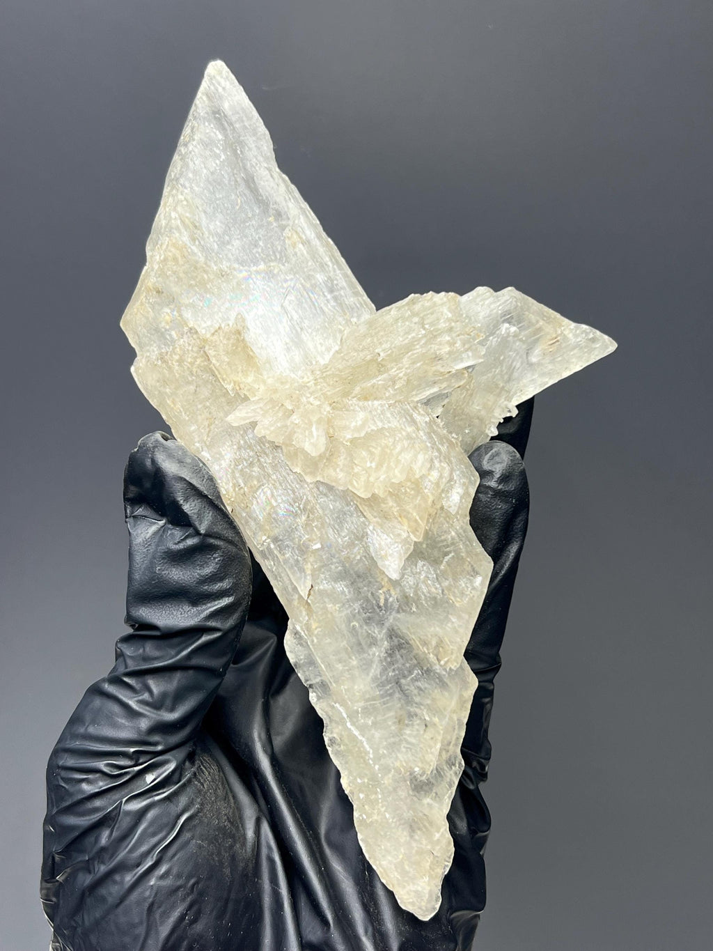 Gypsum Selenite Crystal Specimen - Crystal Gemstone AE 