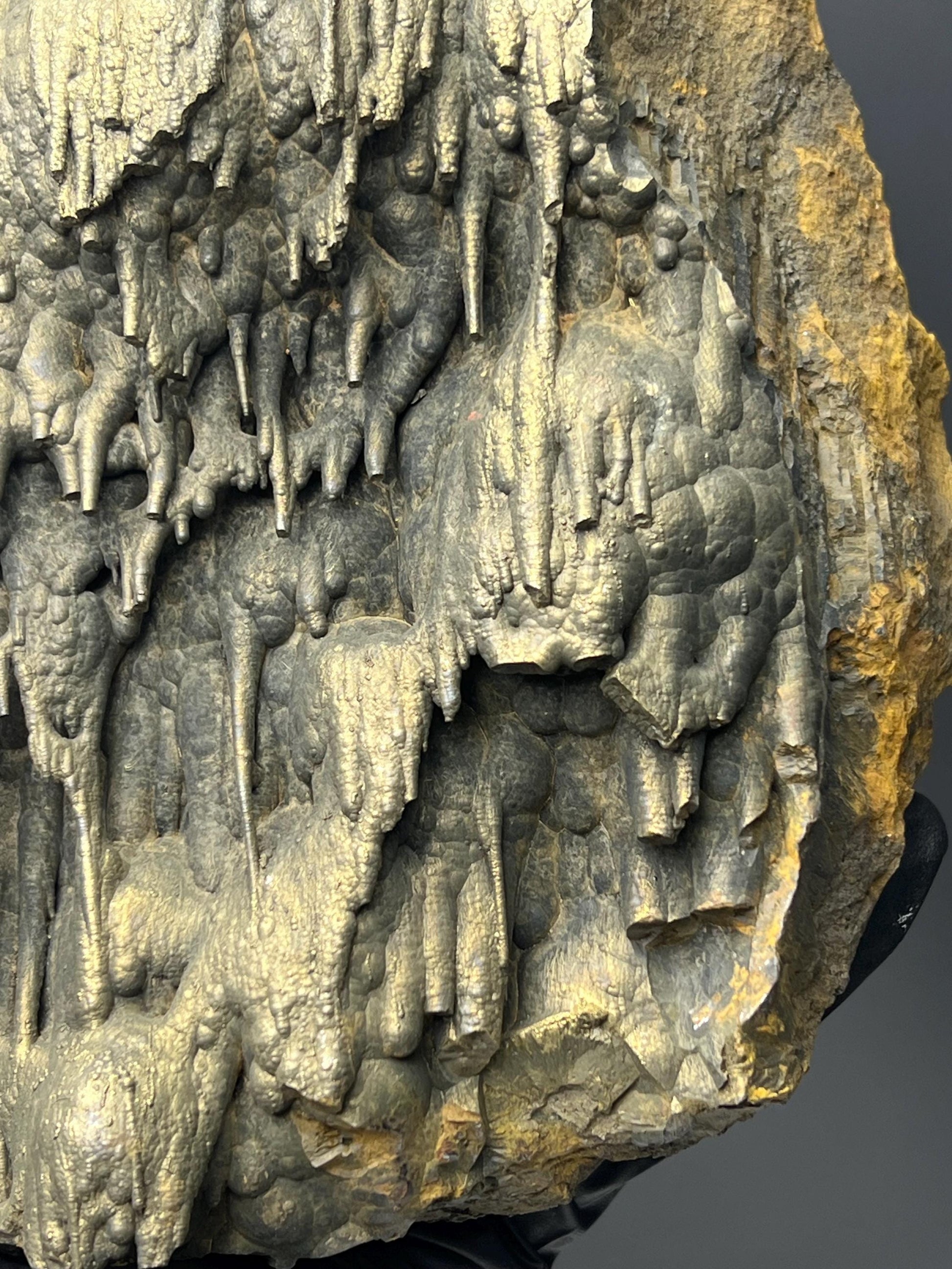 Museum Quality Very Showy Golden Color Stalactite Bridges Goethite Specimen - Crystal Gemstone AE 