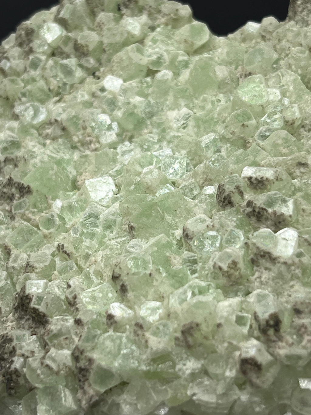 Indian Apophyllite Specimen: "Bringer of Light" Crystal - Crystal Gemstone AE 