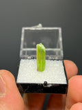 Chrome Tremolite Specimen - Crystal Gemstone AE 