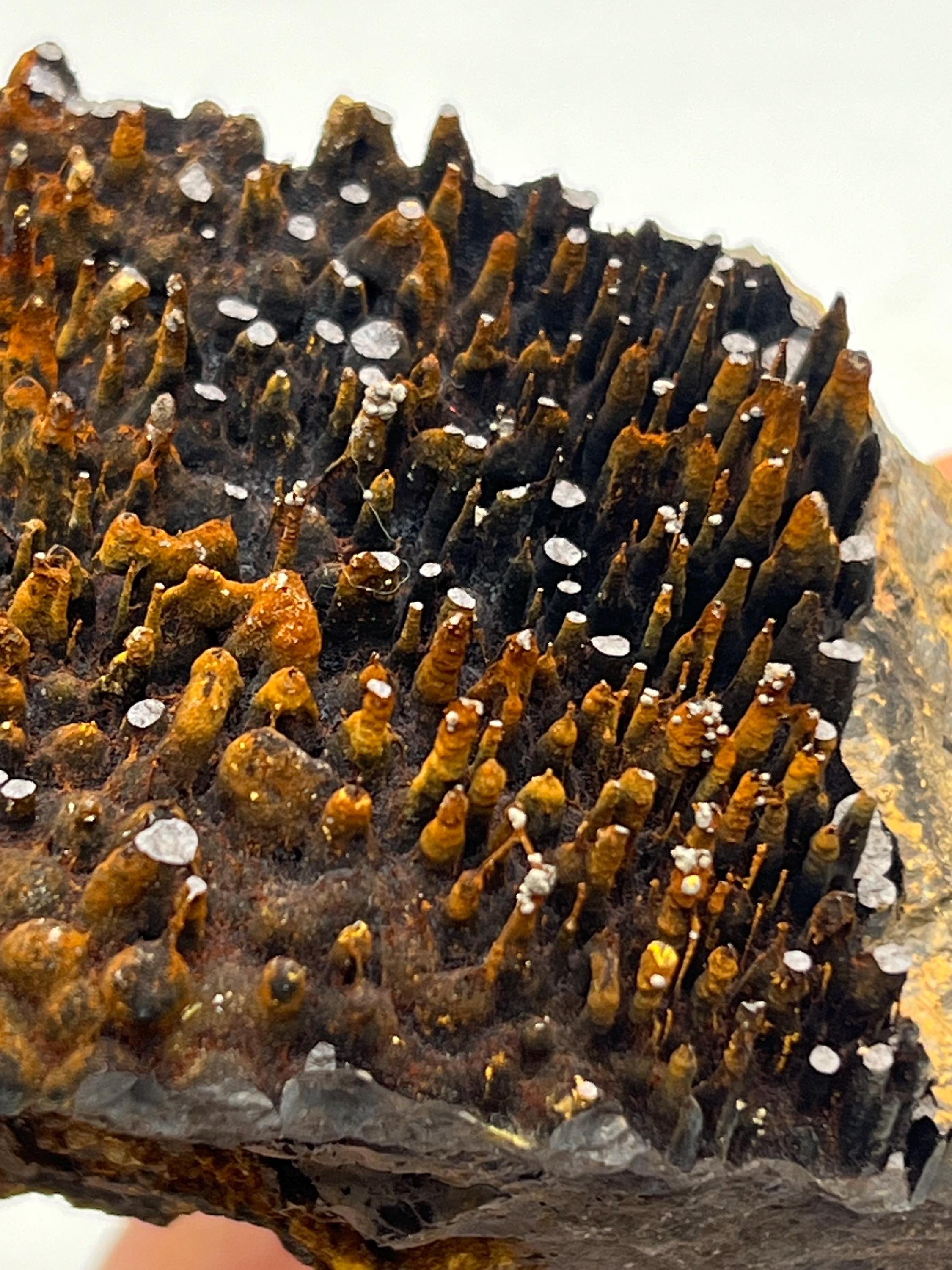 Museum quality, Very Special, Limonite With Stalactite Goethite, From Turkey, Special Collection Piece - Crystal Gemstone AE 