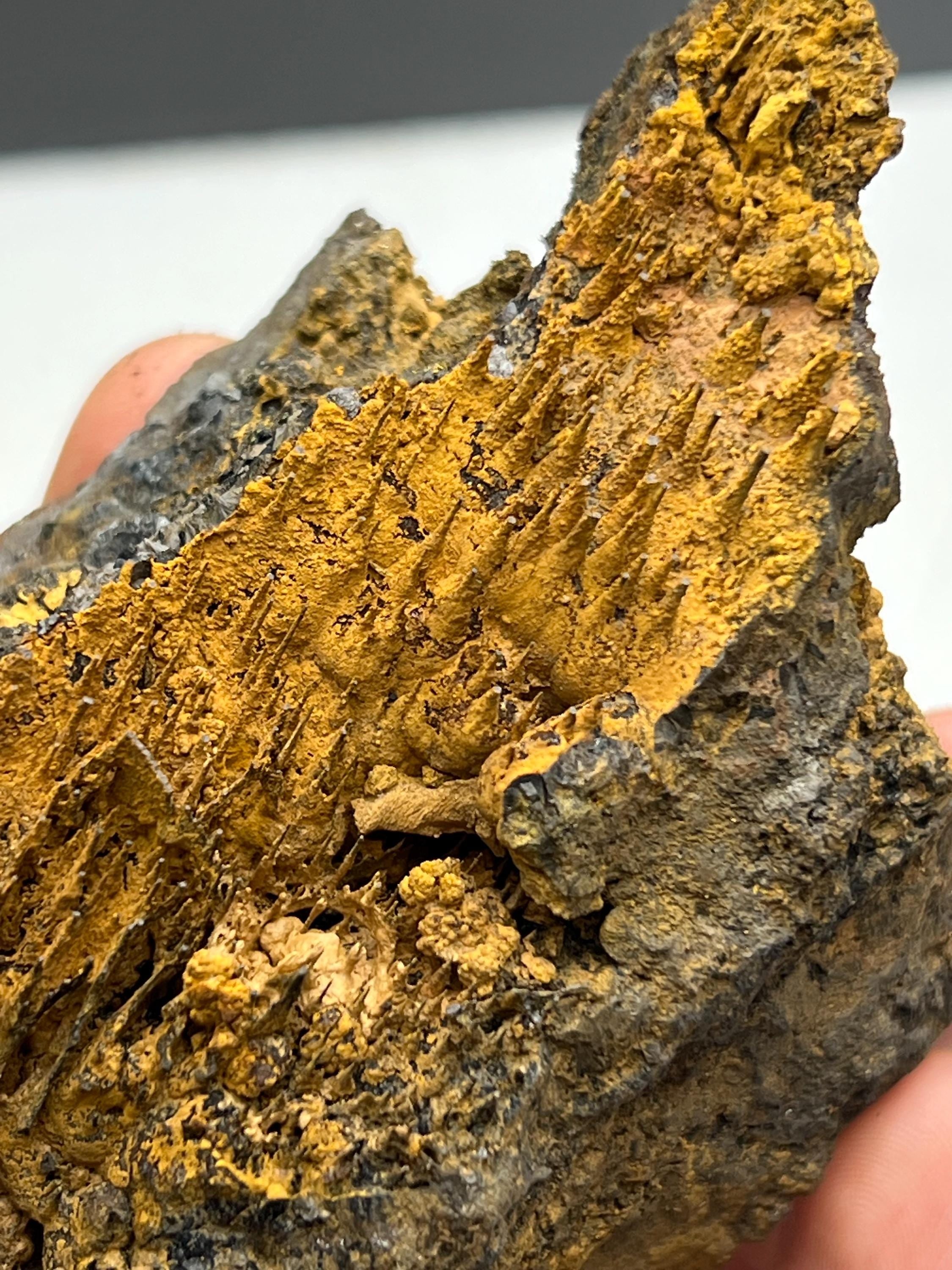 Museum quality, Very showy limonite on stalactite hematite, special collections piece - Crystal Gemstone AE 