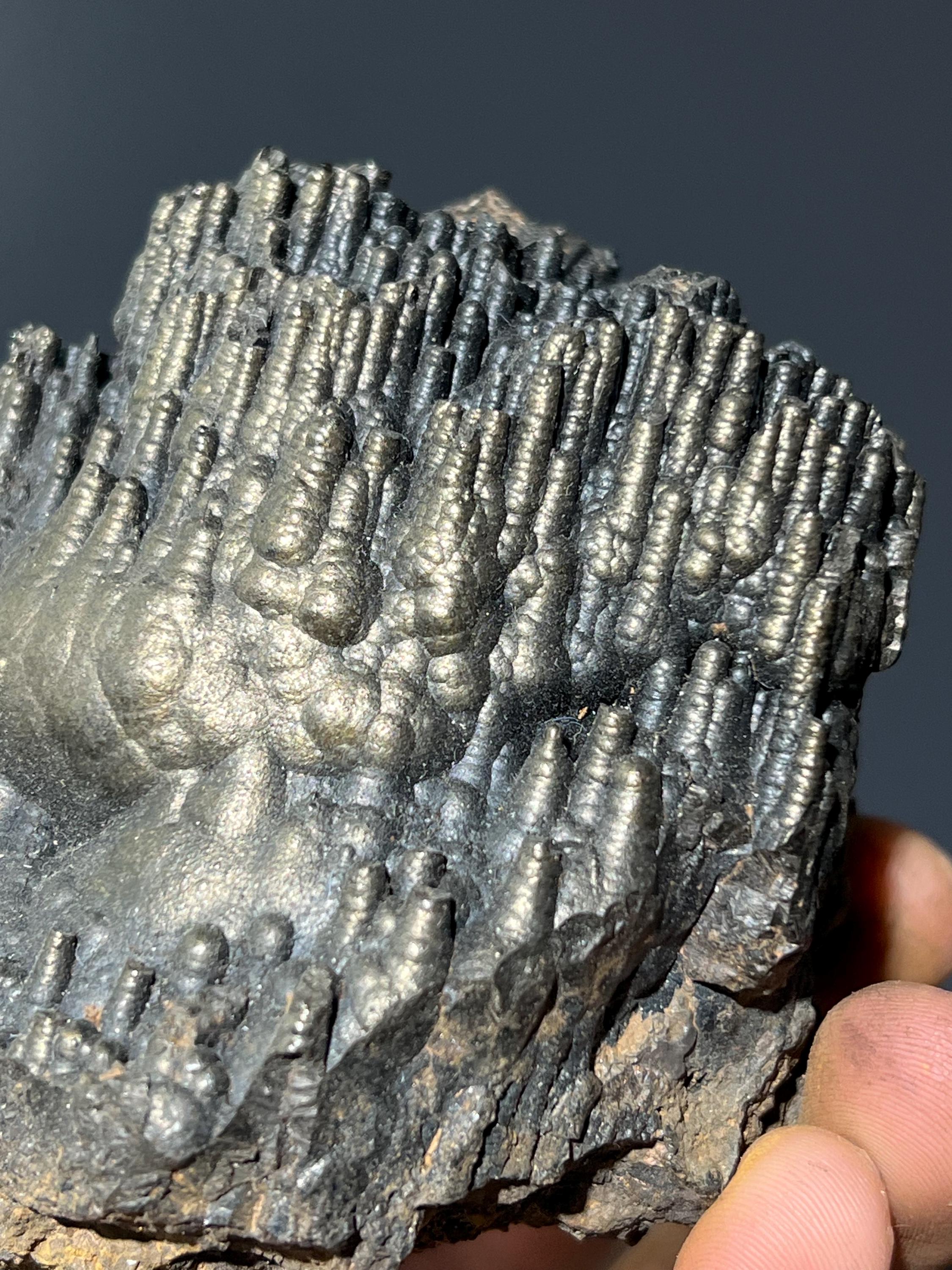 Museum Quality Golden Color Stalactite Goethite - Crystal Gemstone AE 
