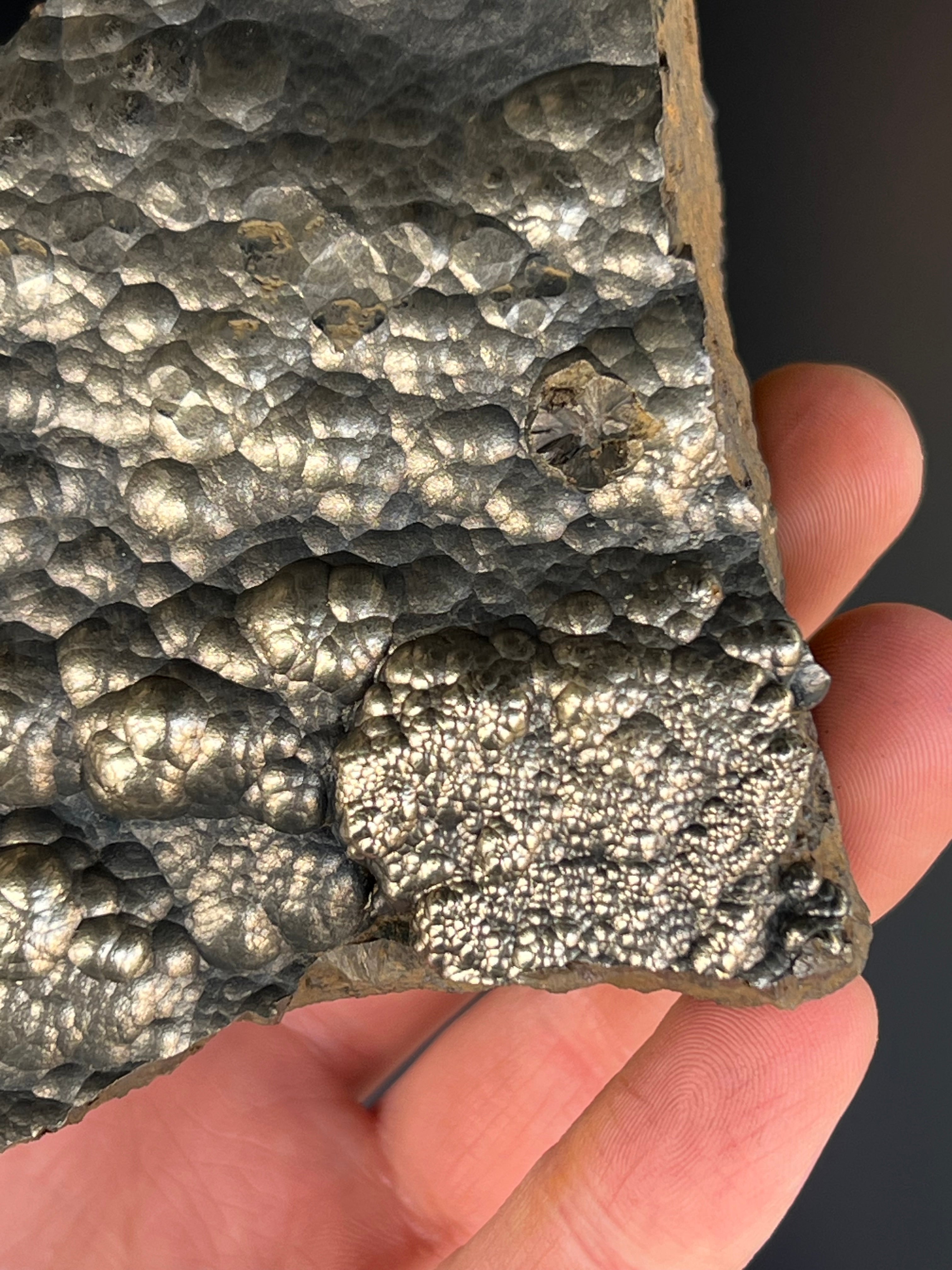 “Museum Grade” Golden Color 2 Sided Botryoidal Goethite