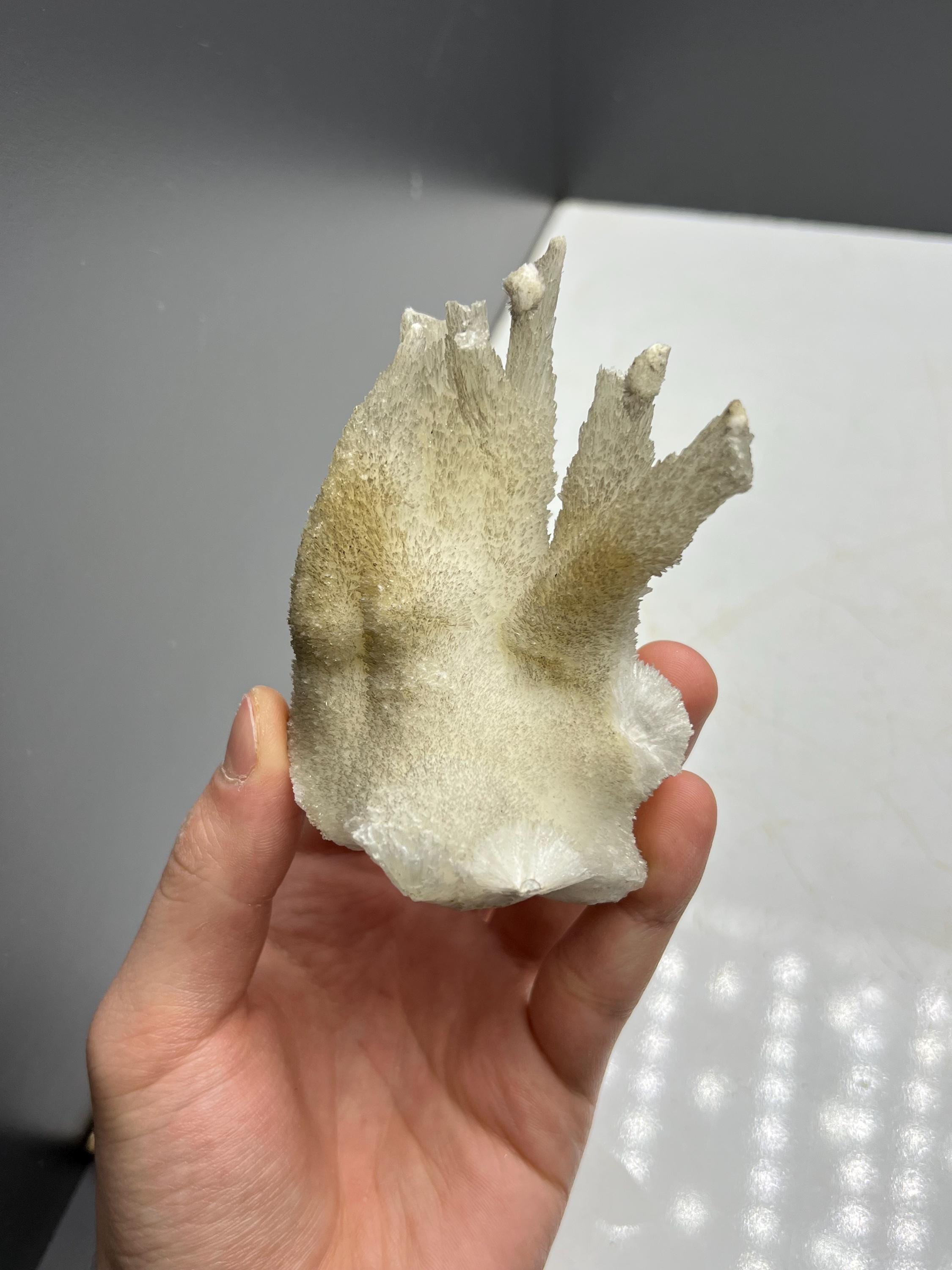 Very Showy Stalactite Aragonite Mineral, From Turkey - Crystal Gemstone AE 