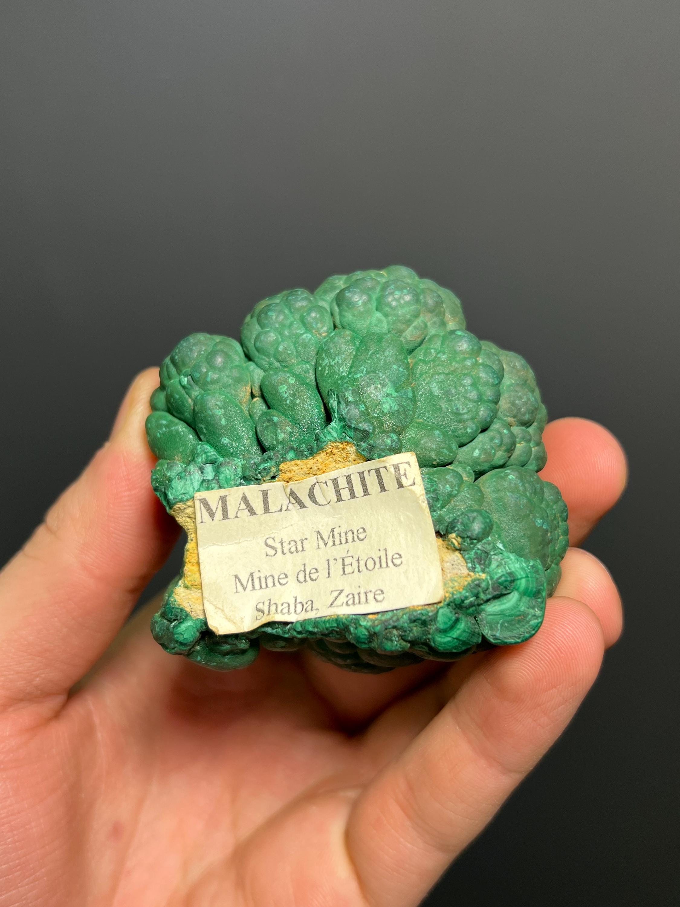 Malachite Specimen - Congo - Crystal Gemstone AE 
