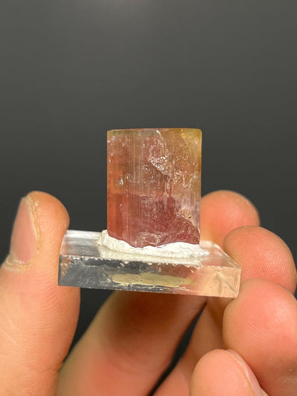 Watermelon Tourmaline Specimen - Crystal Gemstone AE 