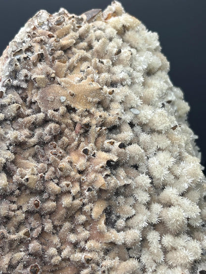 Feather Crystal Calcite Specimen