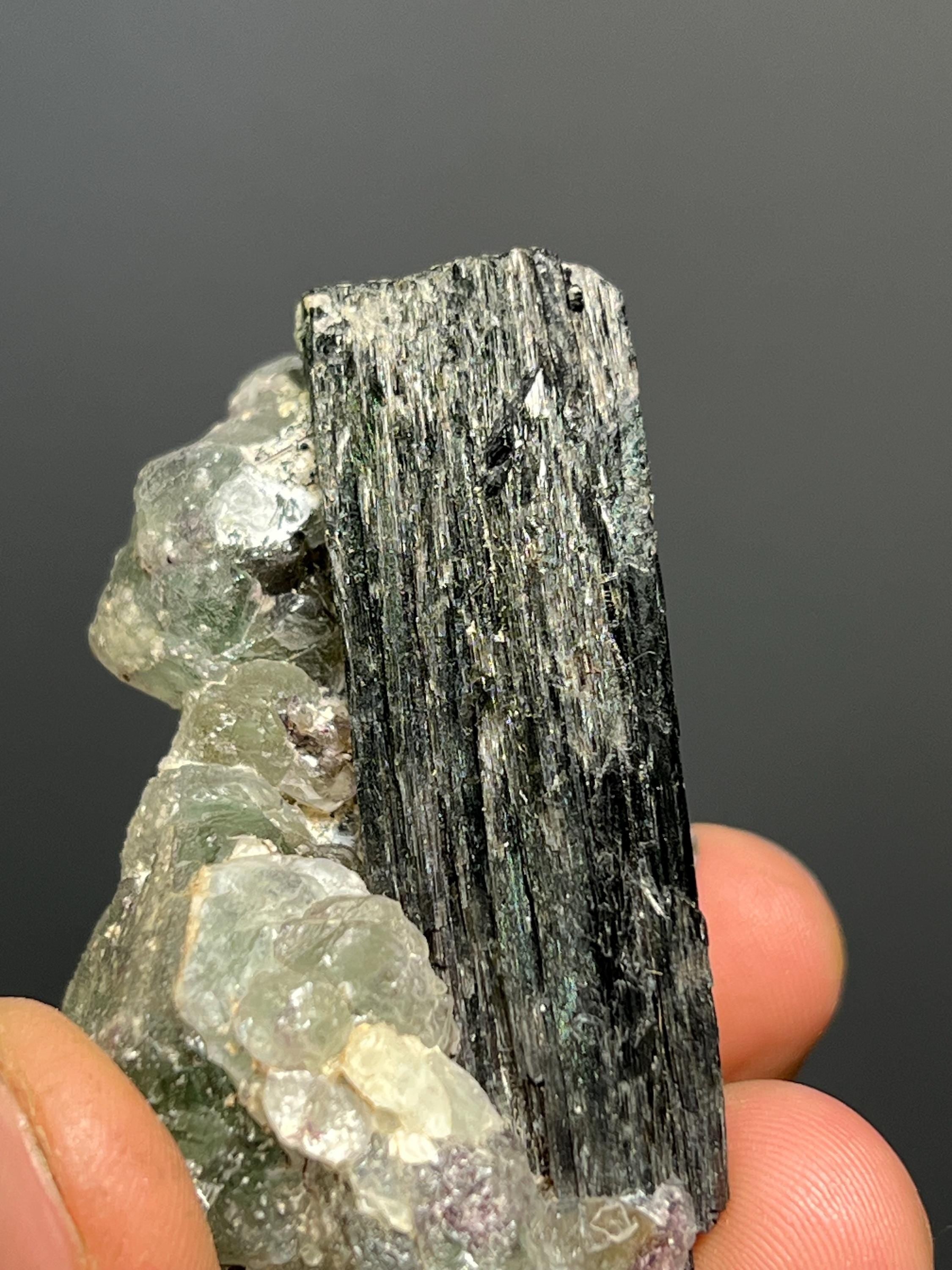 Fluorite On Tourmaline Schorl - Namibia - Crystal Gemstone AE 
