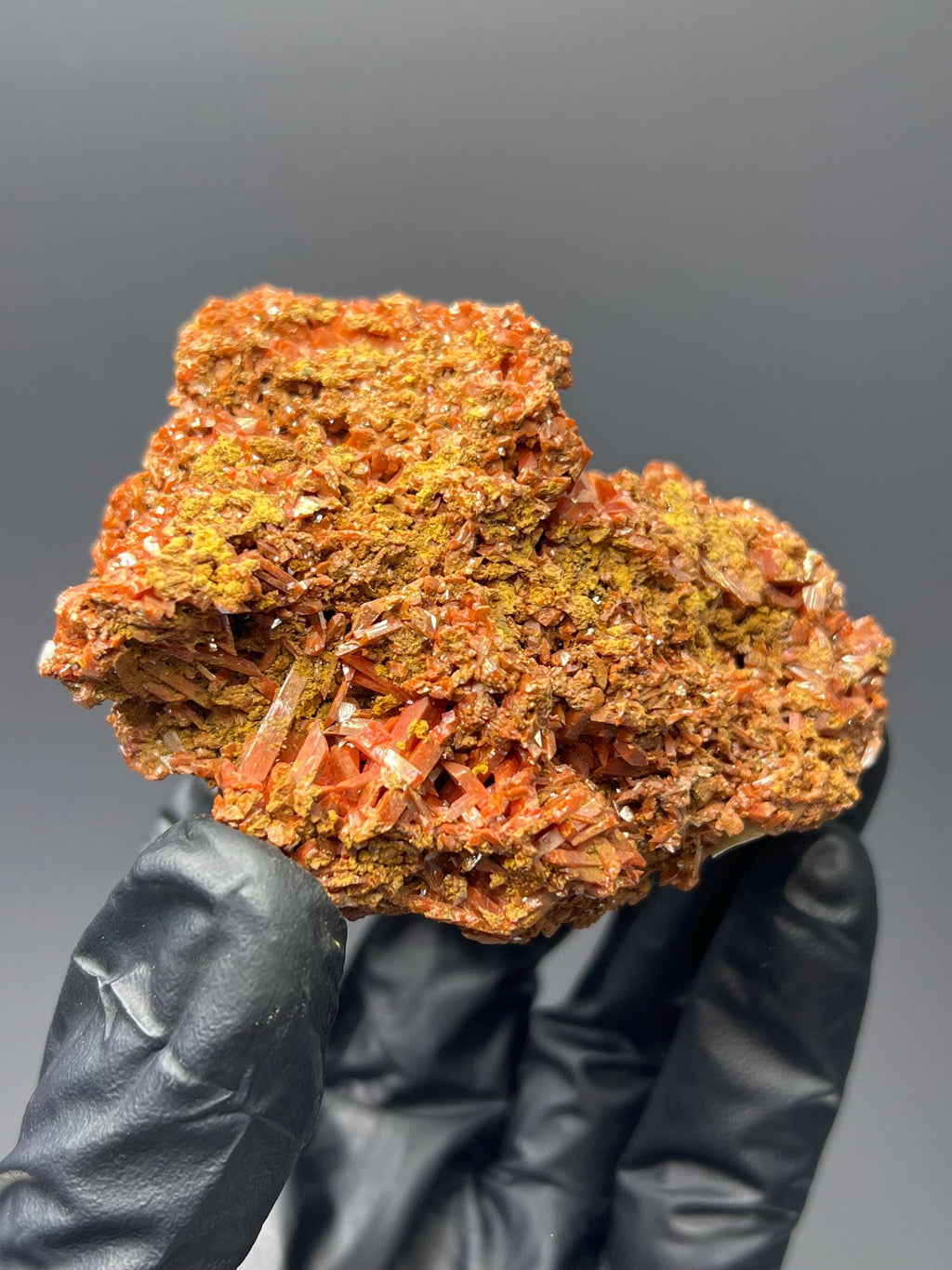 Adelaide Mine Crocoite Specimen - Tasmania Red Crystals - Crystal Gemstone AE 