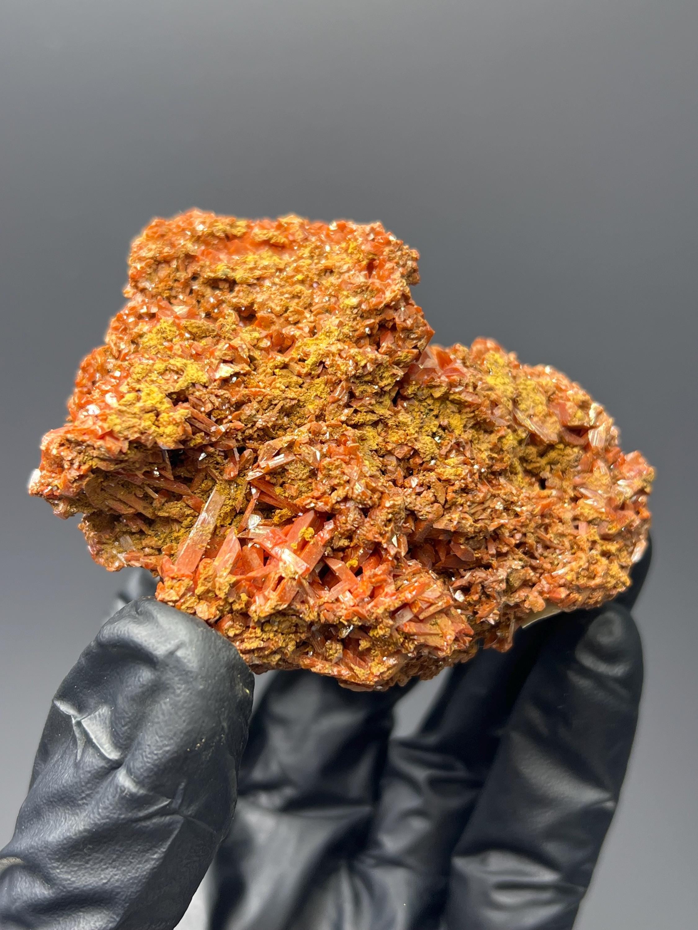 Adelaide Mine Crocoite Specimen - Tasmania Red Crystals - Crystal Gemstone AE 