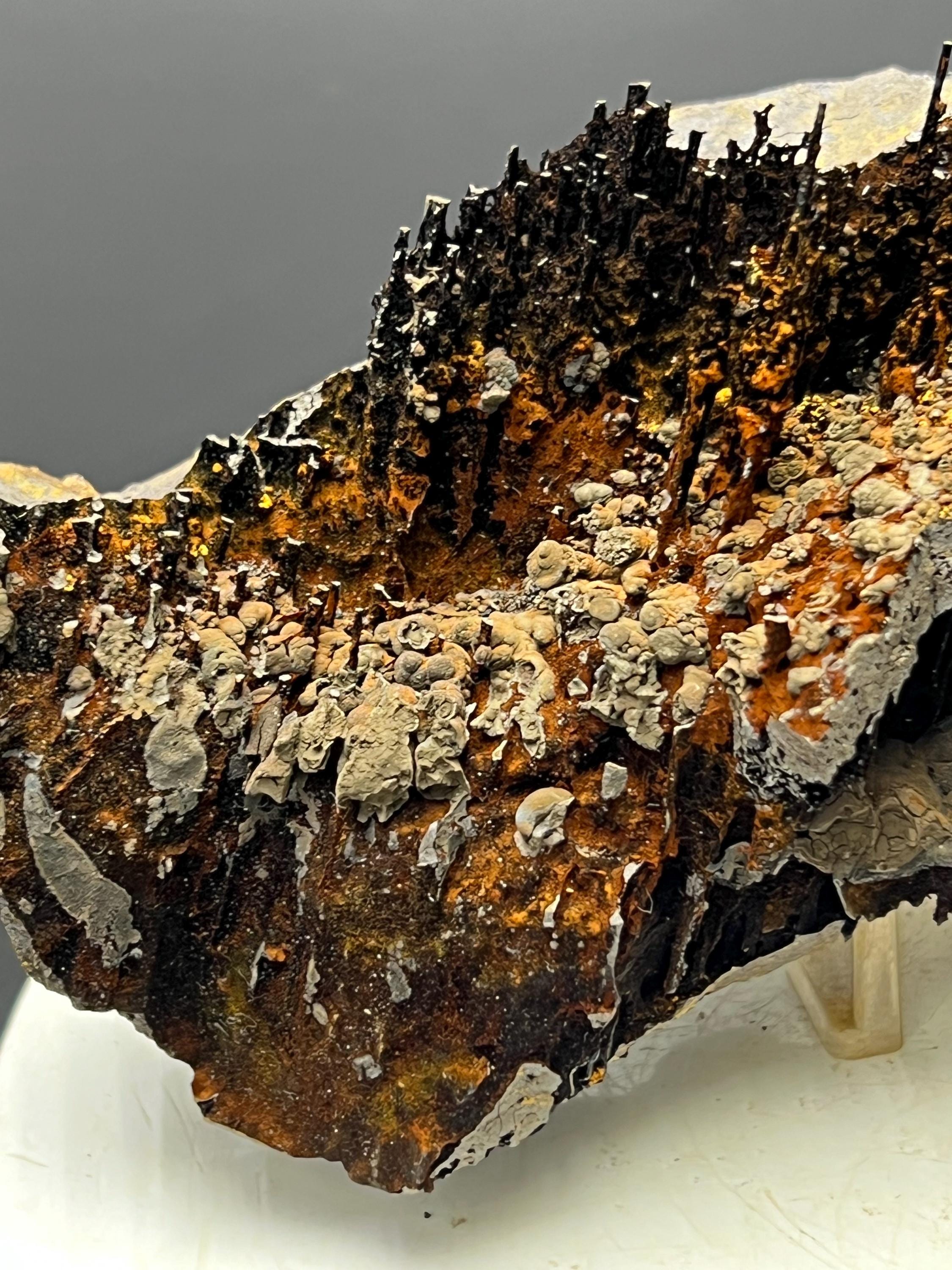 Museum Grade, Very Special Limonite And Specularite With Stalactite Goethite Specimen - Crystal Gemstone AE 