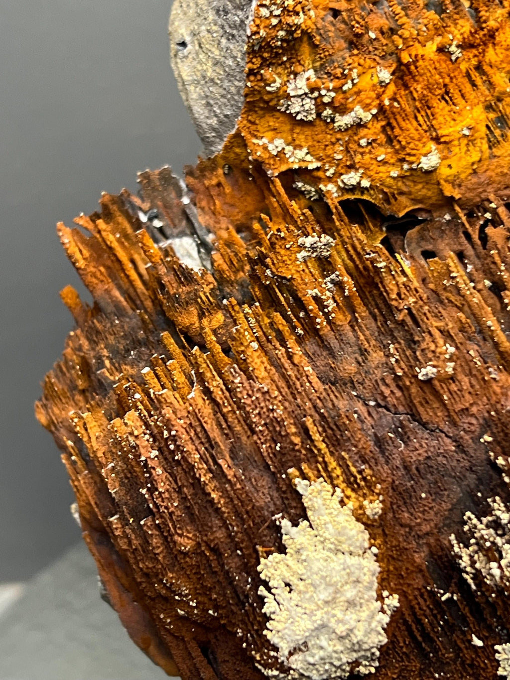 Museum Grade, Limonite And Specularite With Stalactite Goethite Specimen, For Special Collection Piece! - Crystal Gemstone AE 