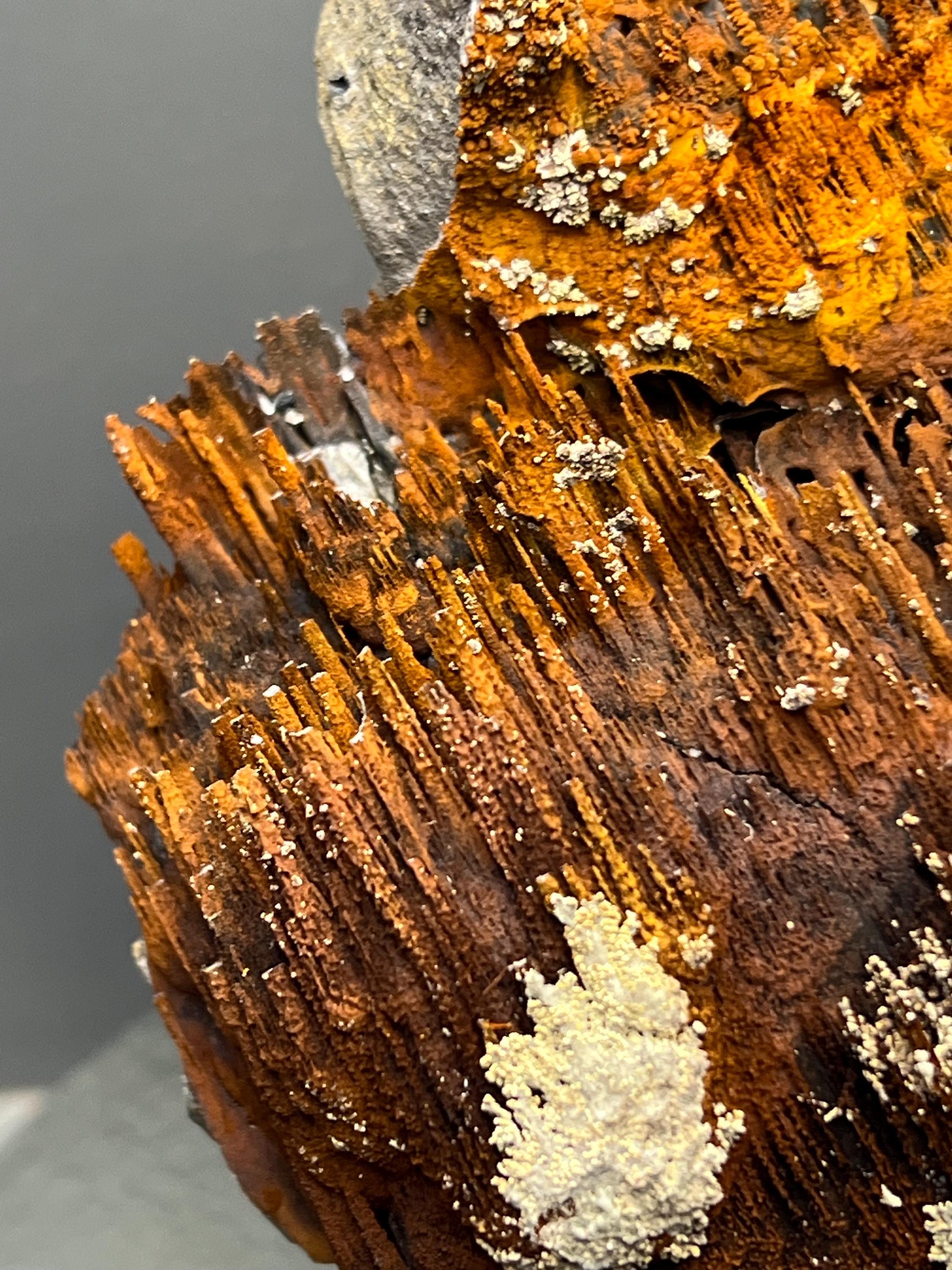 Museum Grade, Limonite And Specularite With Stalactite Goethite Specimen, For Special Collection Piece! - Crystal Gemstone AE 