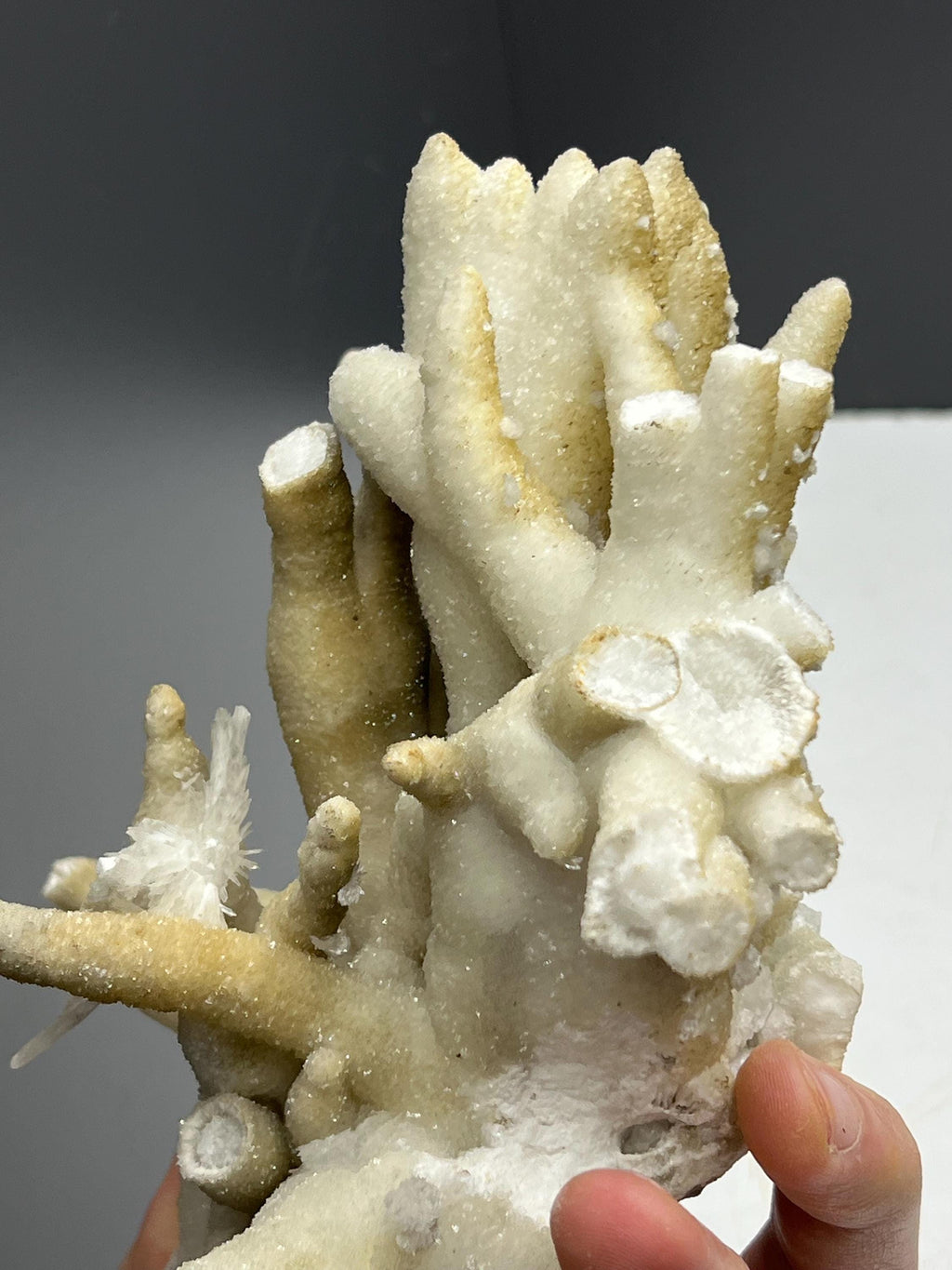 Very Special And Showy Stalactite Aragonite Mineral, From Turkey - Crystal Gemstone AE 