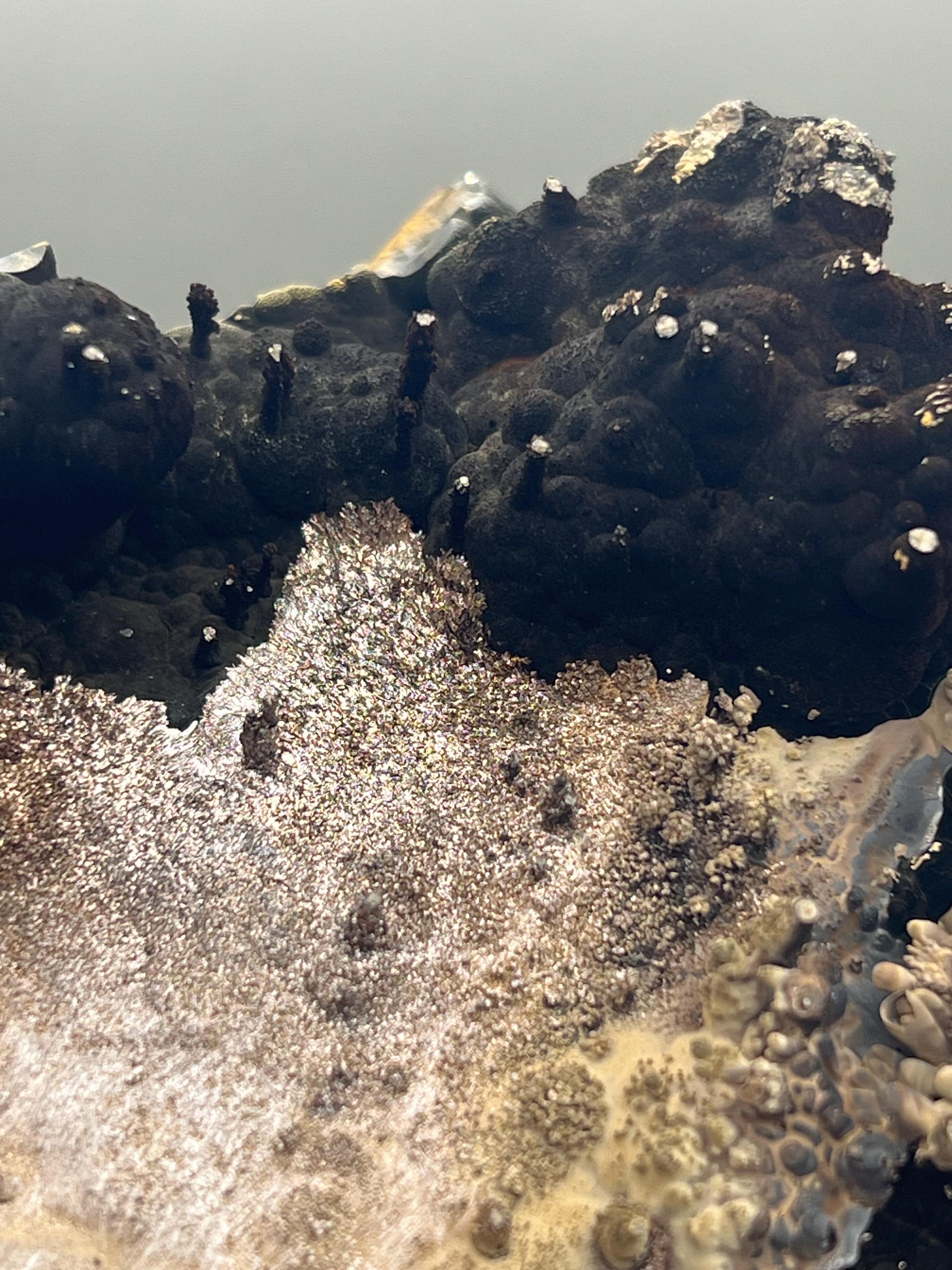 Very Special, Limonite And Specularite On Stalactite And Botryoidal Formed Goethite - Crystal Gemstone AE 