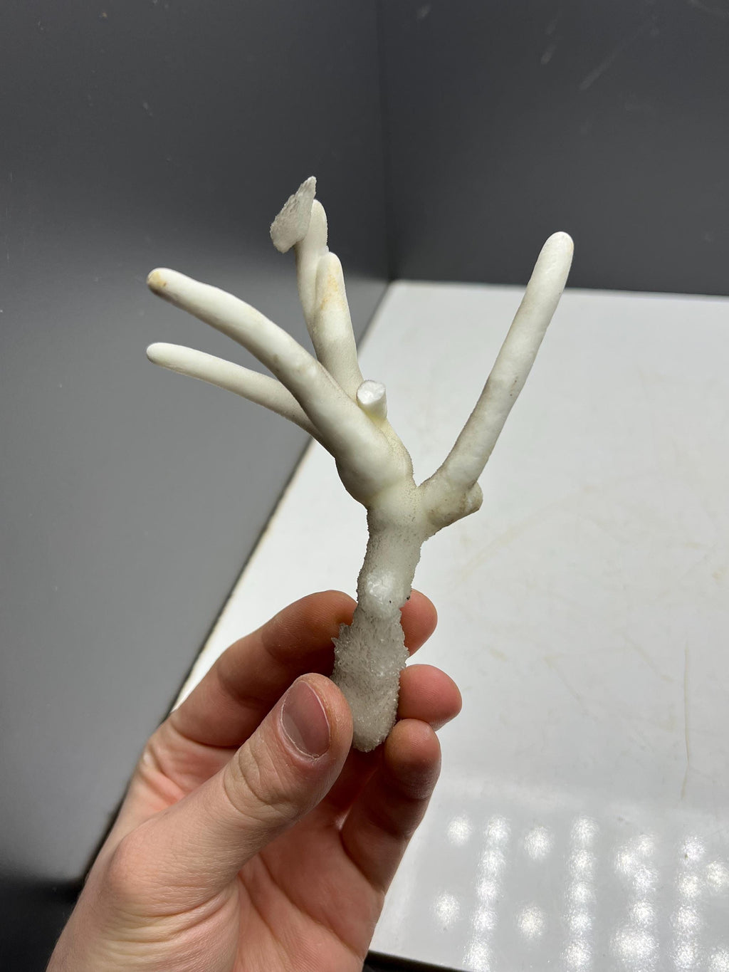 Very Special Formed Stalactite Aragonite Mineral, From Turkey - Crystal Gemstone AE 