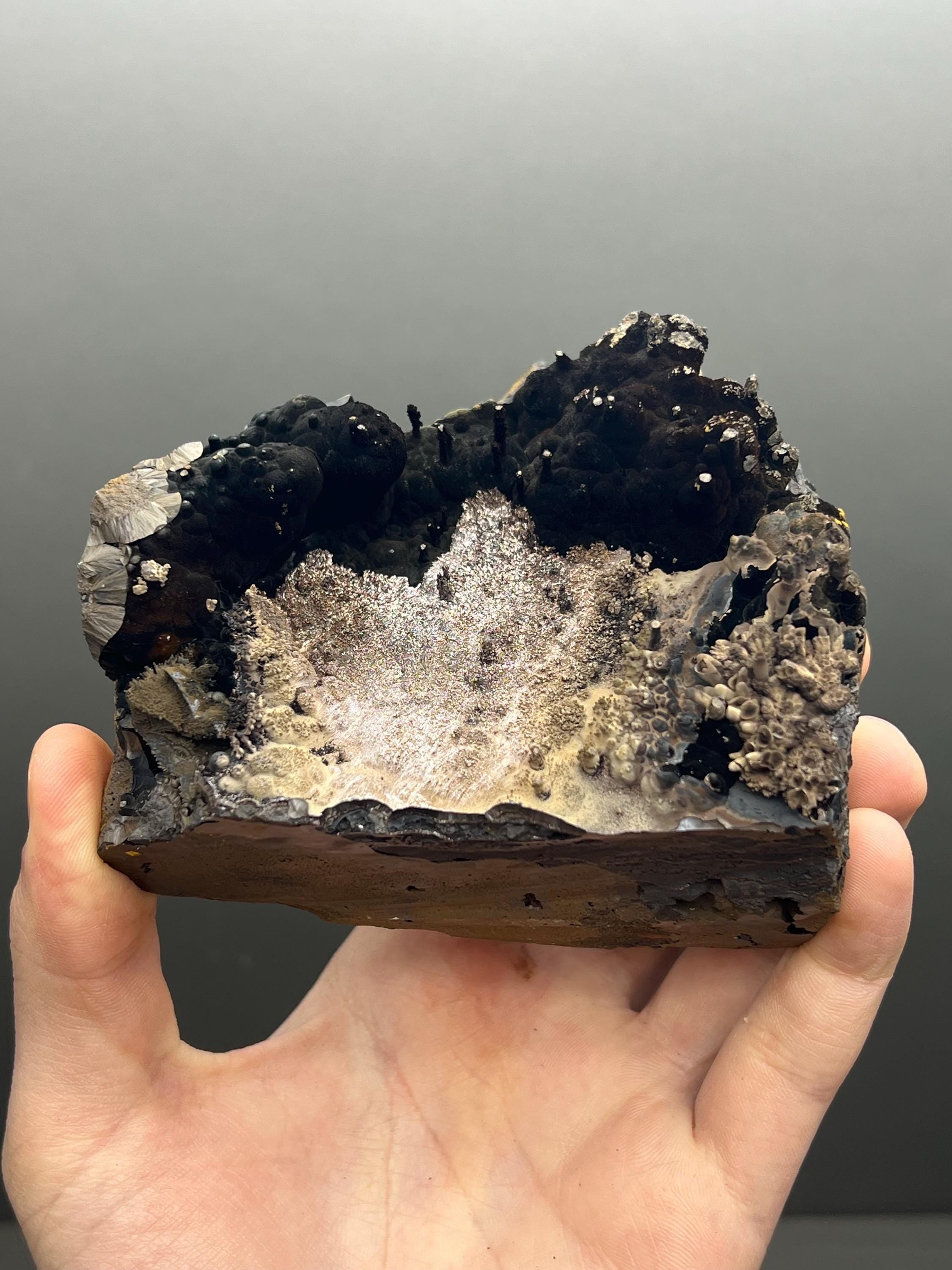 Very Special, Limonite And Specularite On Stalactite And Botryoidal Formed Goethite - Crystal Gemstone AE 