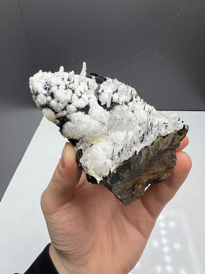 Museum Quality! Snow Crystal Calcite On Stalactite Hematite