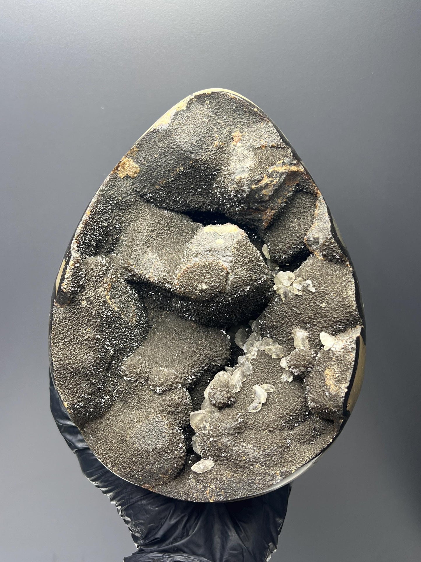 XL Polished Septarian Egg - Crystal Gemstone AE 