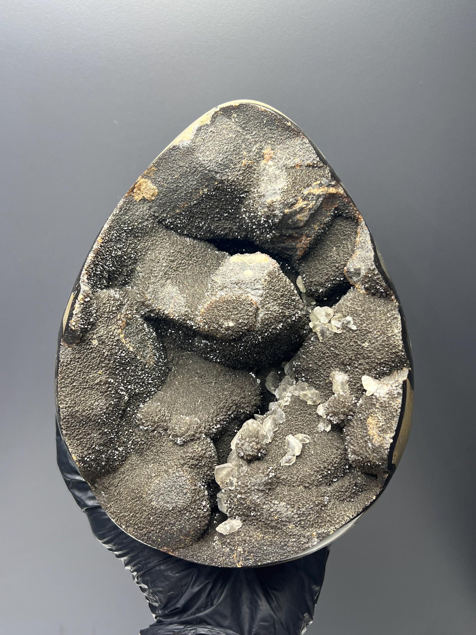 XL Polished Septarian Egg - Crystal Gemstone AE 