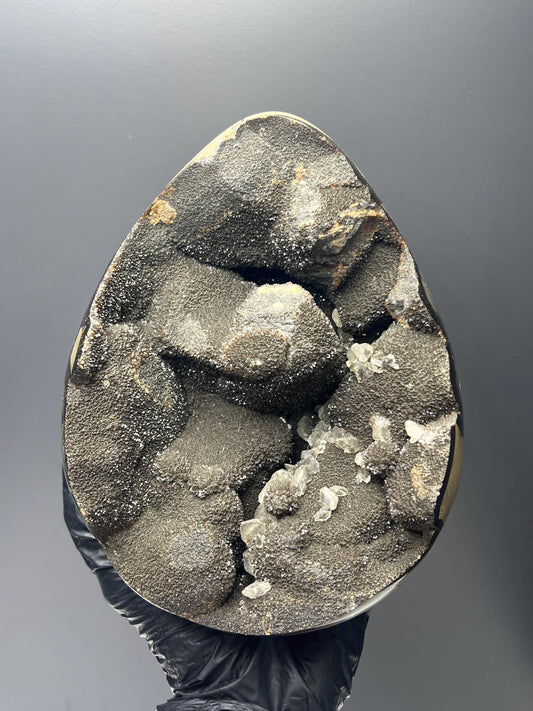 XL Polished Septarian Egg - Crystal Gemstone AE 