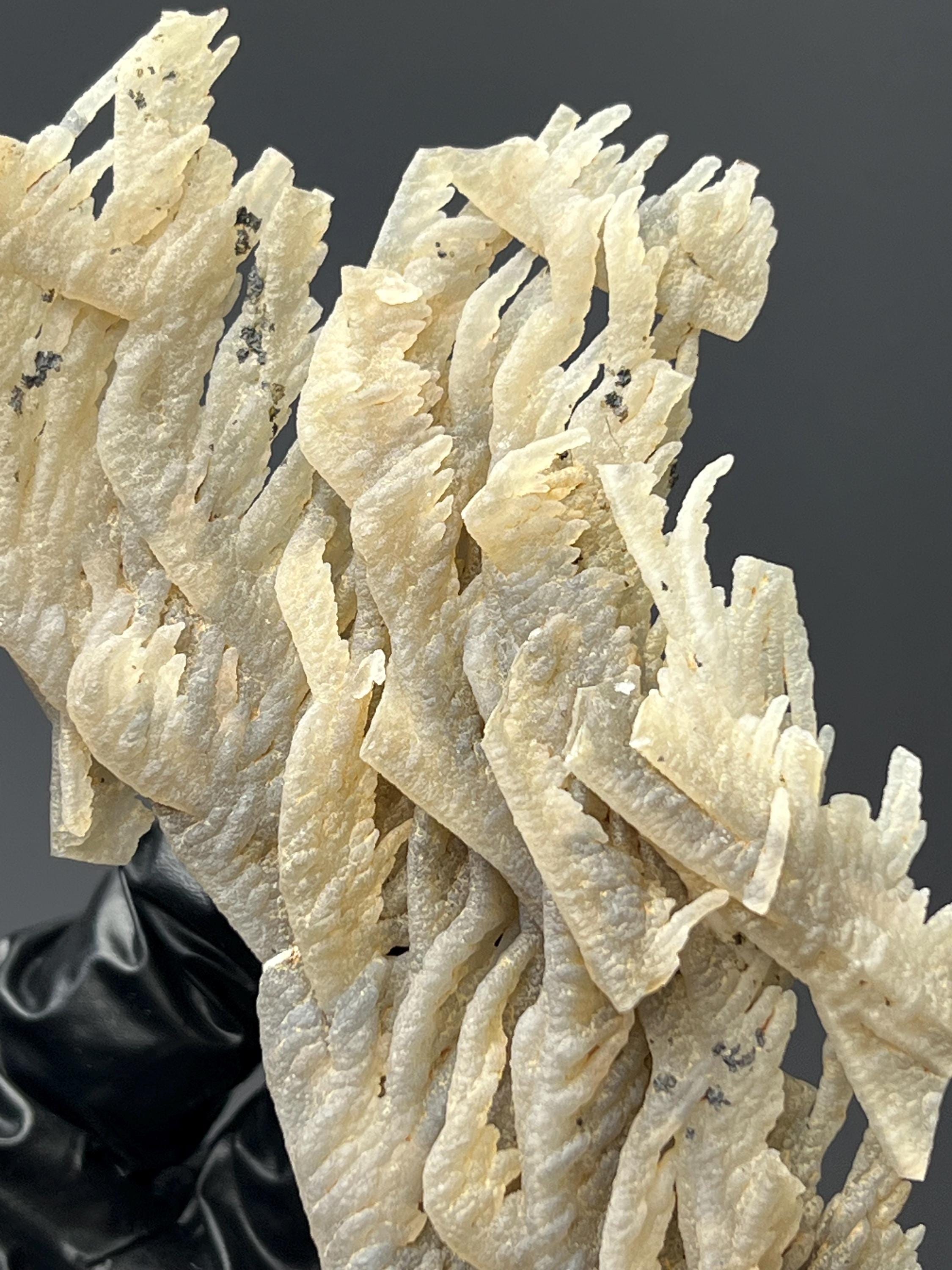 Special Stalactite Chalcedony Specimen - Crystal Gemstone AE 