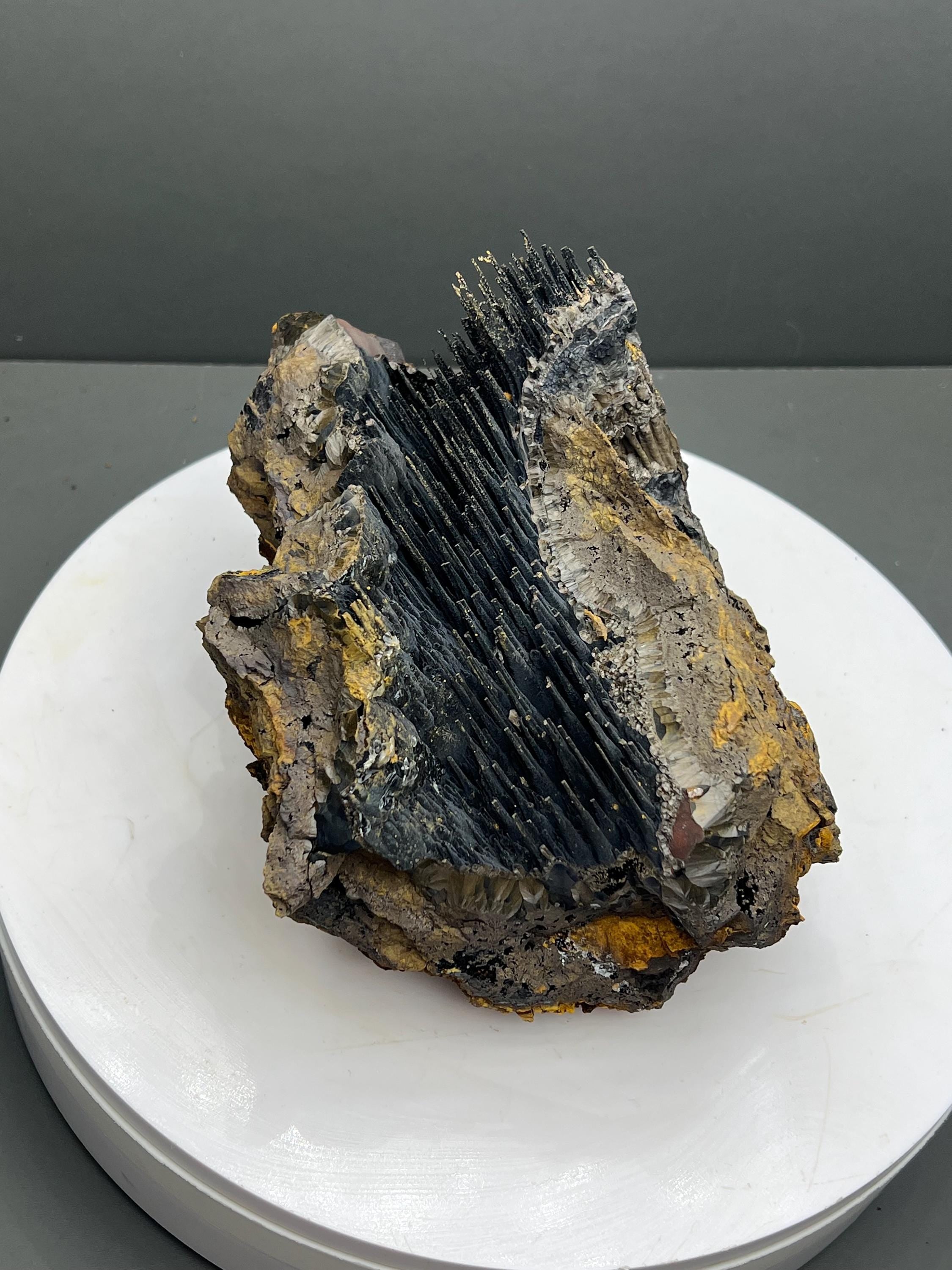 Museum Quality!! Very Showy Stalactite Goethite Mineral, For Special Collections Piece - Crystal Gemstone AE 