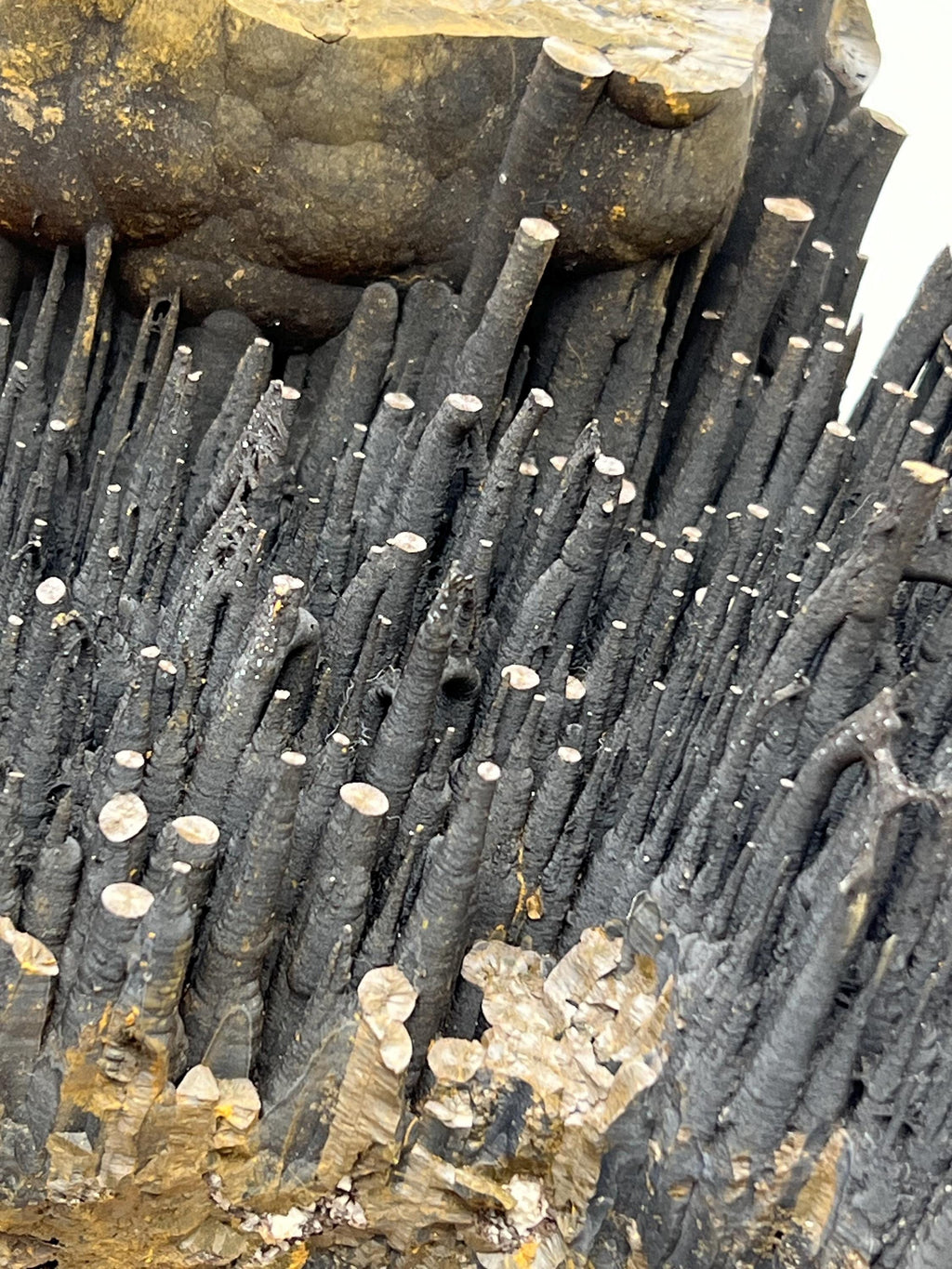 Large Stalactite Goethite Mineral, Stalactite Bridges, Turkey - Crystal Gemstone AE 