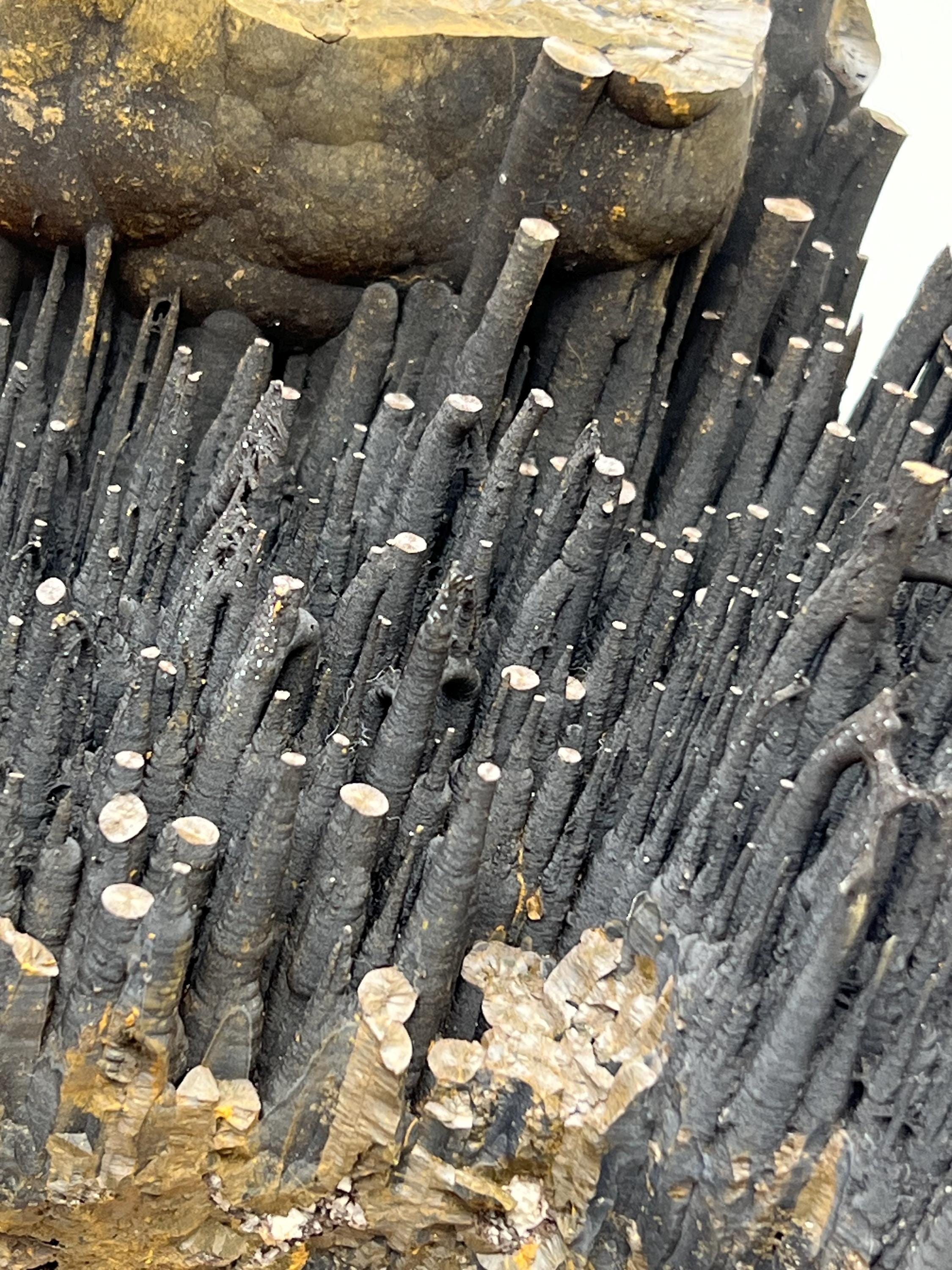 Large Stalactite Goethite Mineral, Stalactite Bridges, Turkey - Crystal Gemstone AE 