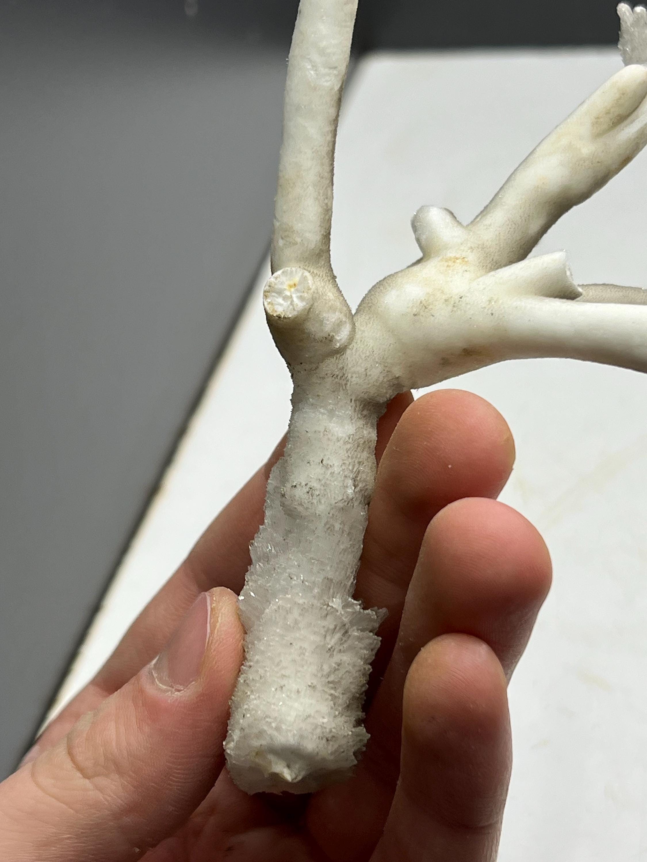 Very Special Formed Stalactite Aragonite Mineral, From Turkey - Crystal Gemstone AE 