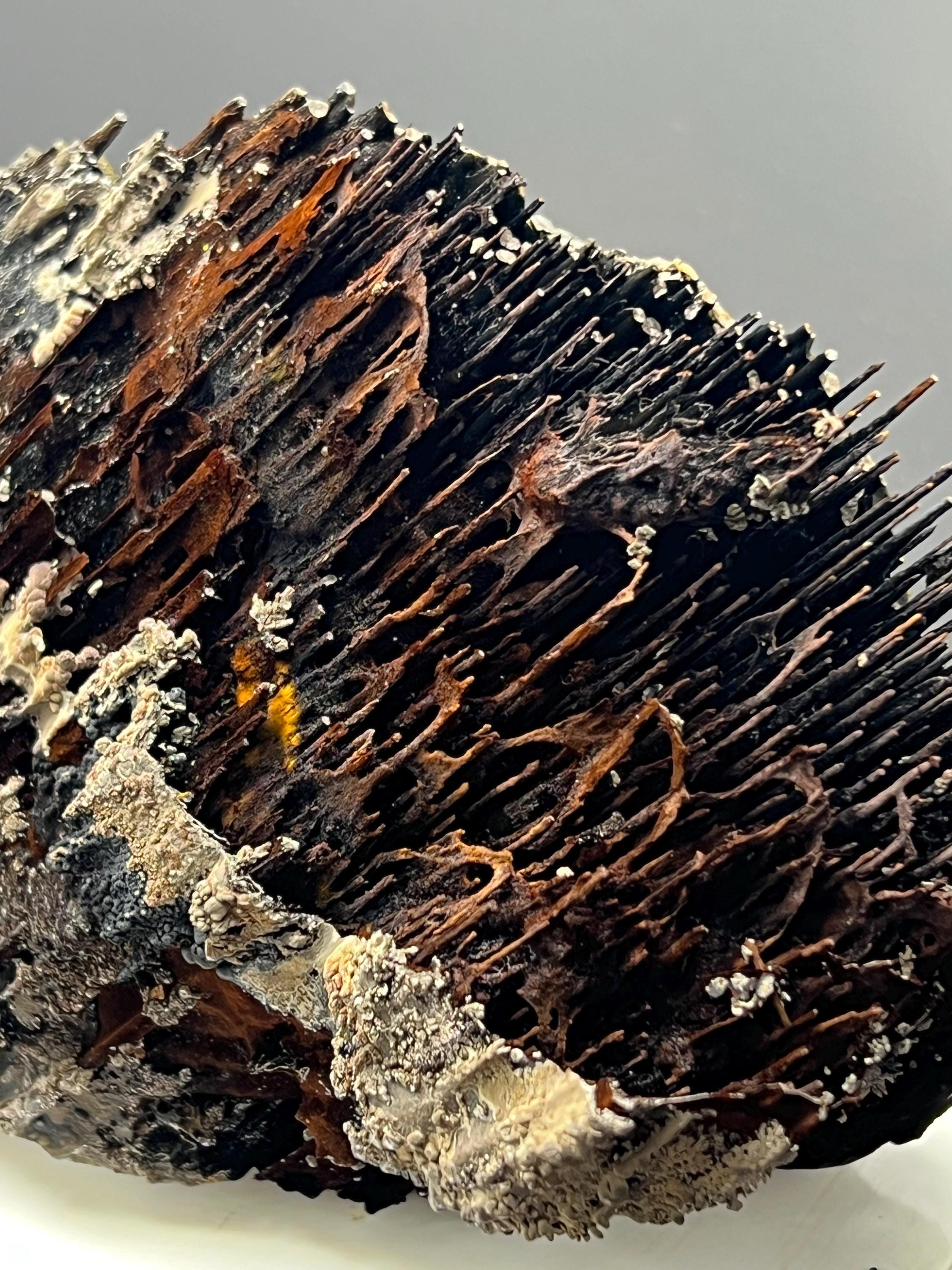 Museum Grade! Very Showy Limonite And Specularite With Stalactite Bridges Goethite Specimen - Crystal Gemstone AE 