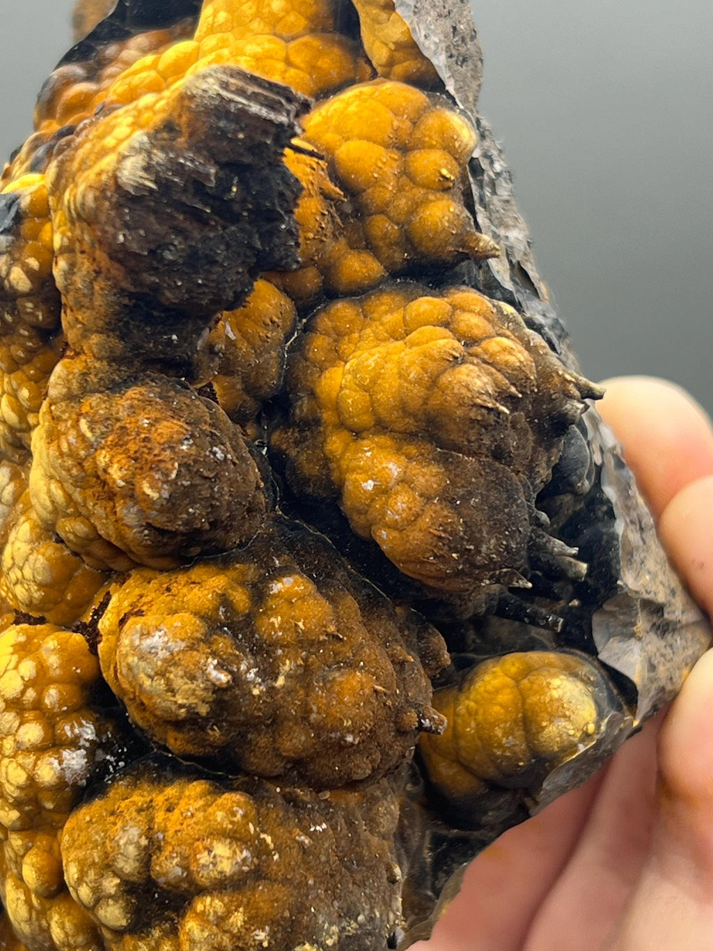 High Grade Limonite On Botryoidal Goethite With Stalactites - Crystal Gemstone AE 