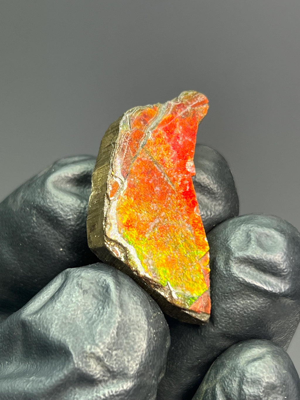 Iridescent Ammolite Specimen - Crystal Gemstone AE 