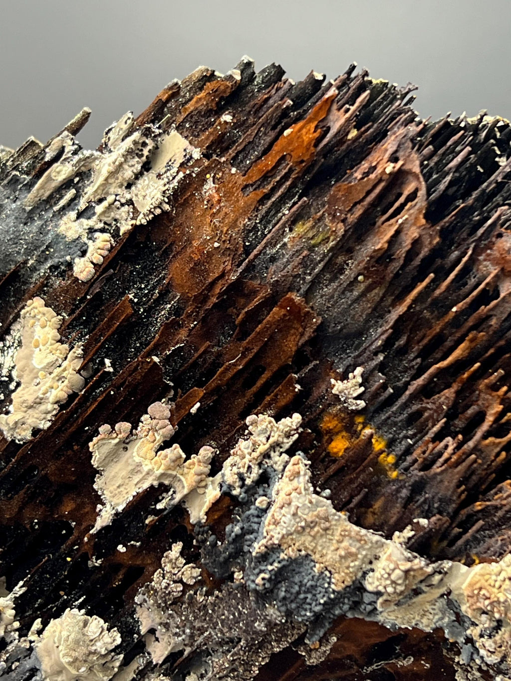 Museum Grade! Very Showy Limonite And Specularite With Stalactite Bridges Goethite Specimen - Crystal Gemstone AE 