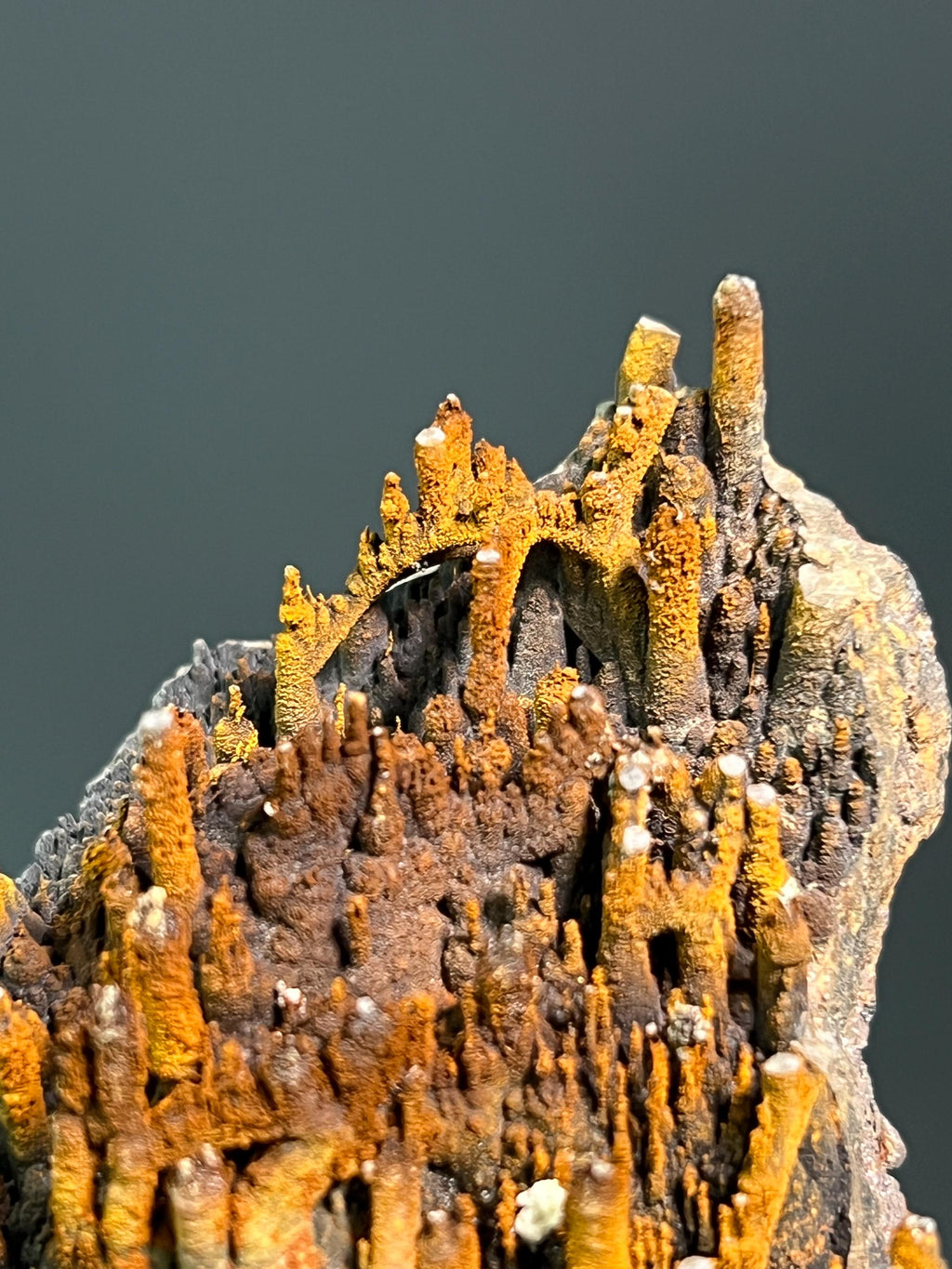 Museum Grade Limonite On Stalactite Goethite - Crystal Gemstone AE 