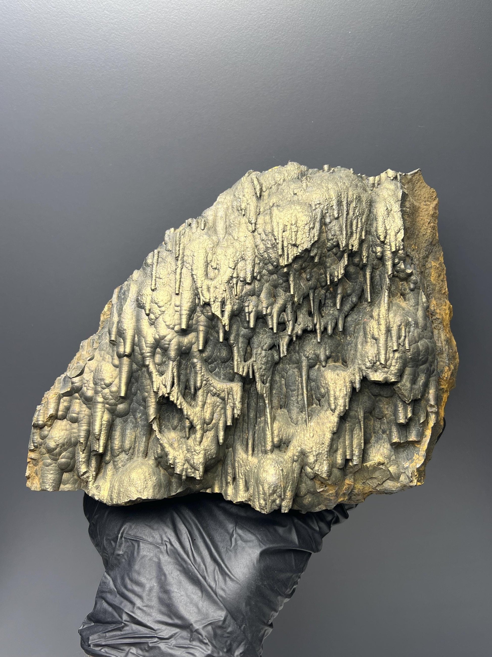 Museum Quality Very Showy Golden Color Stalactite Bridges Goethite Specimen - Crystal Gemstone AE 