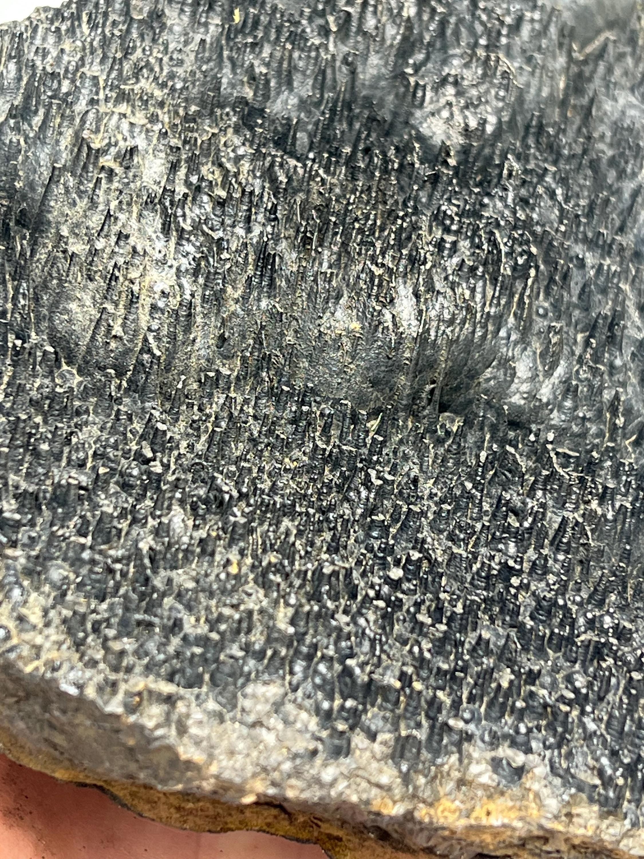 Museum quality, Very special slim stalactites Goethite specimen, Special Collections - Crystal Gemstone AE 