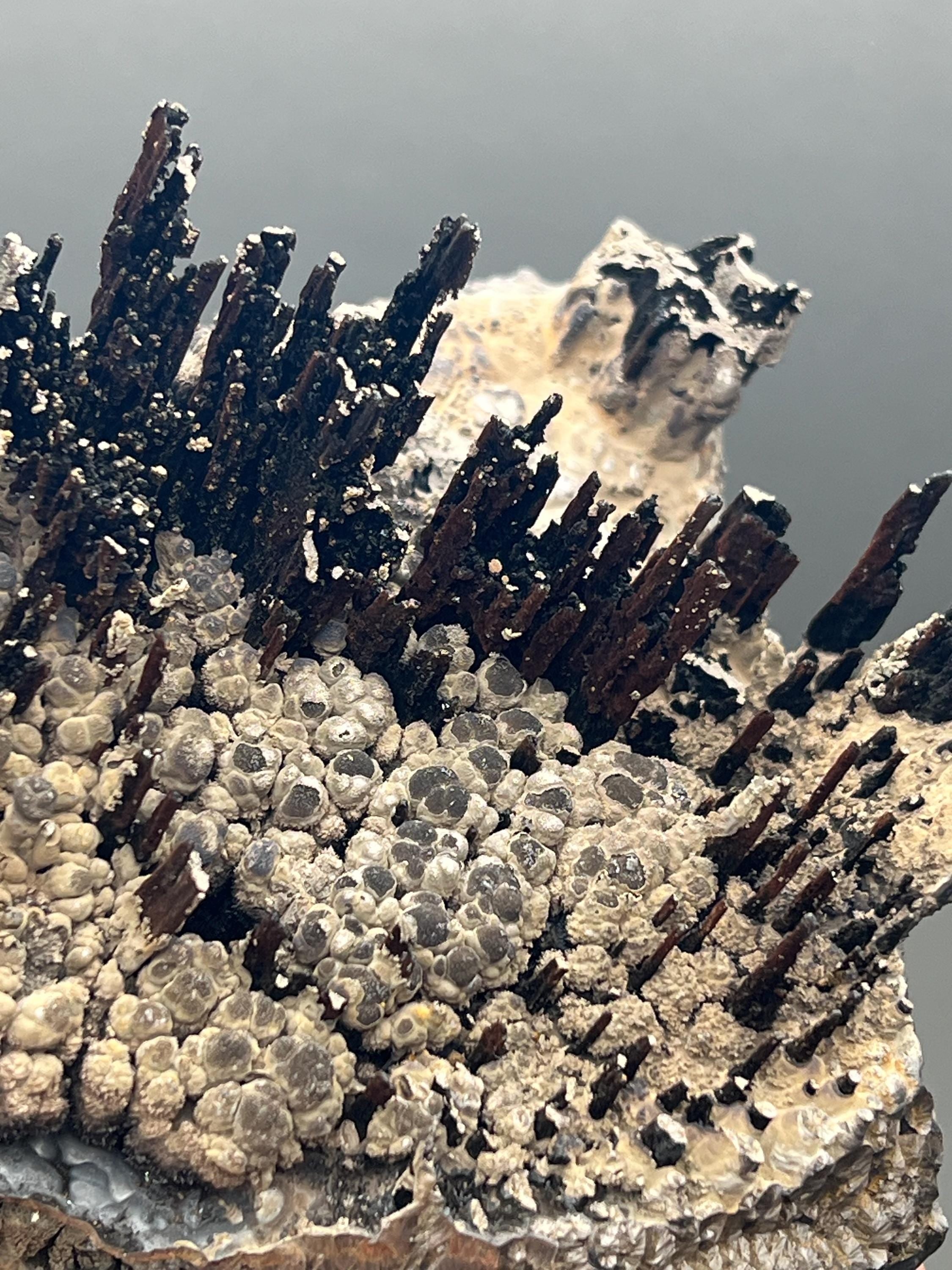 Museum Grade Limonite And Specularite On Stalactite Goethite - Crystal Gemstone AE 