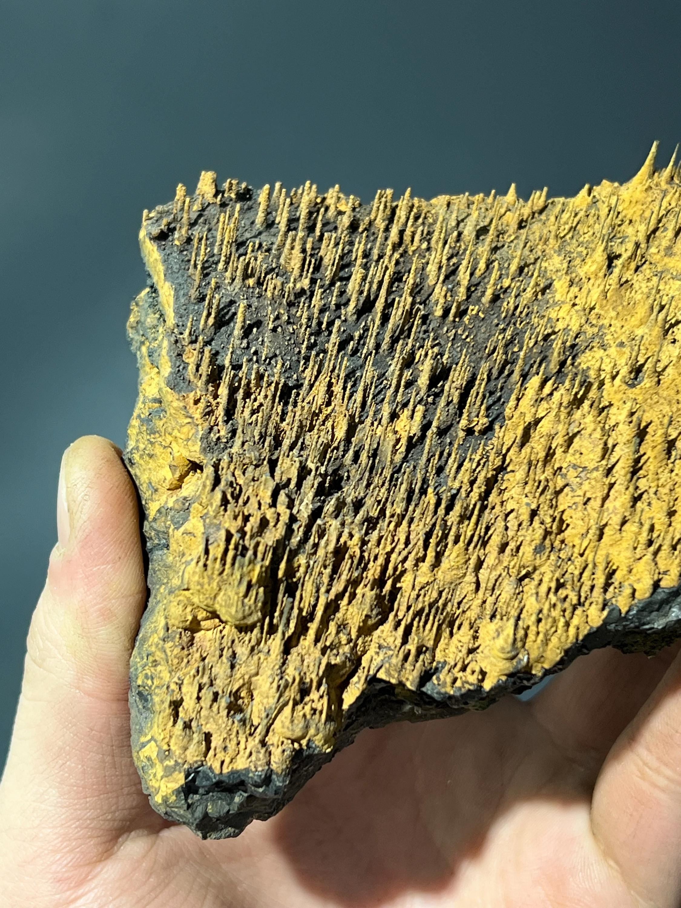 Museum Piece, Limonite With Stalactite Goethite - Crystal Gemstone AE 