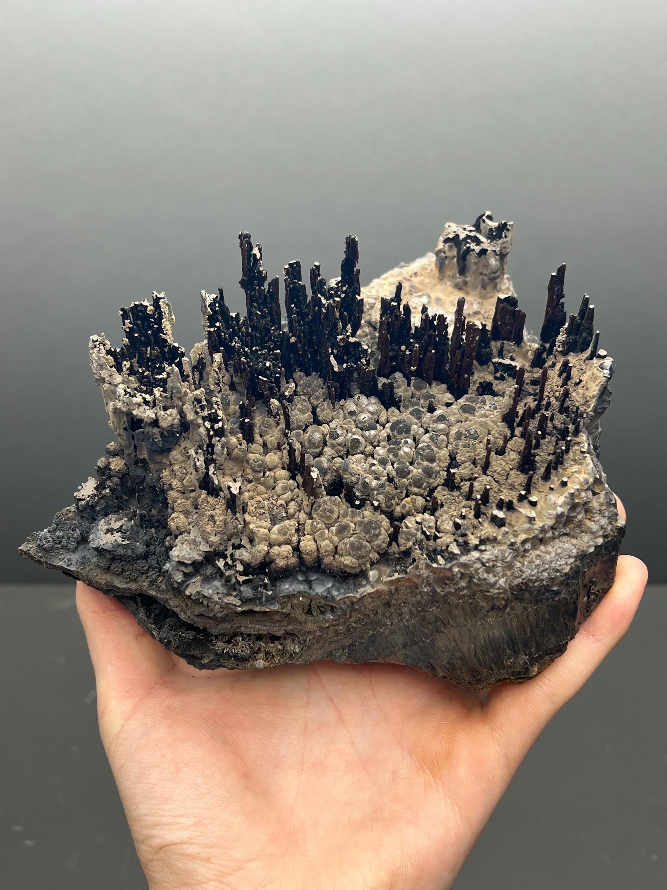 Museum Grade Limonite And Specularite On Stalactite Goethite - Crystal Gemstone AE 