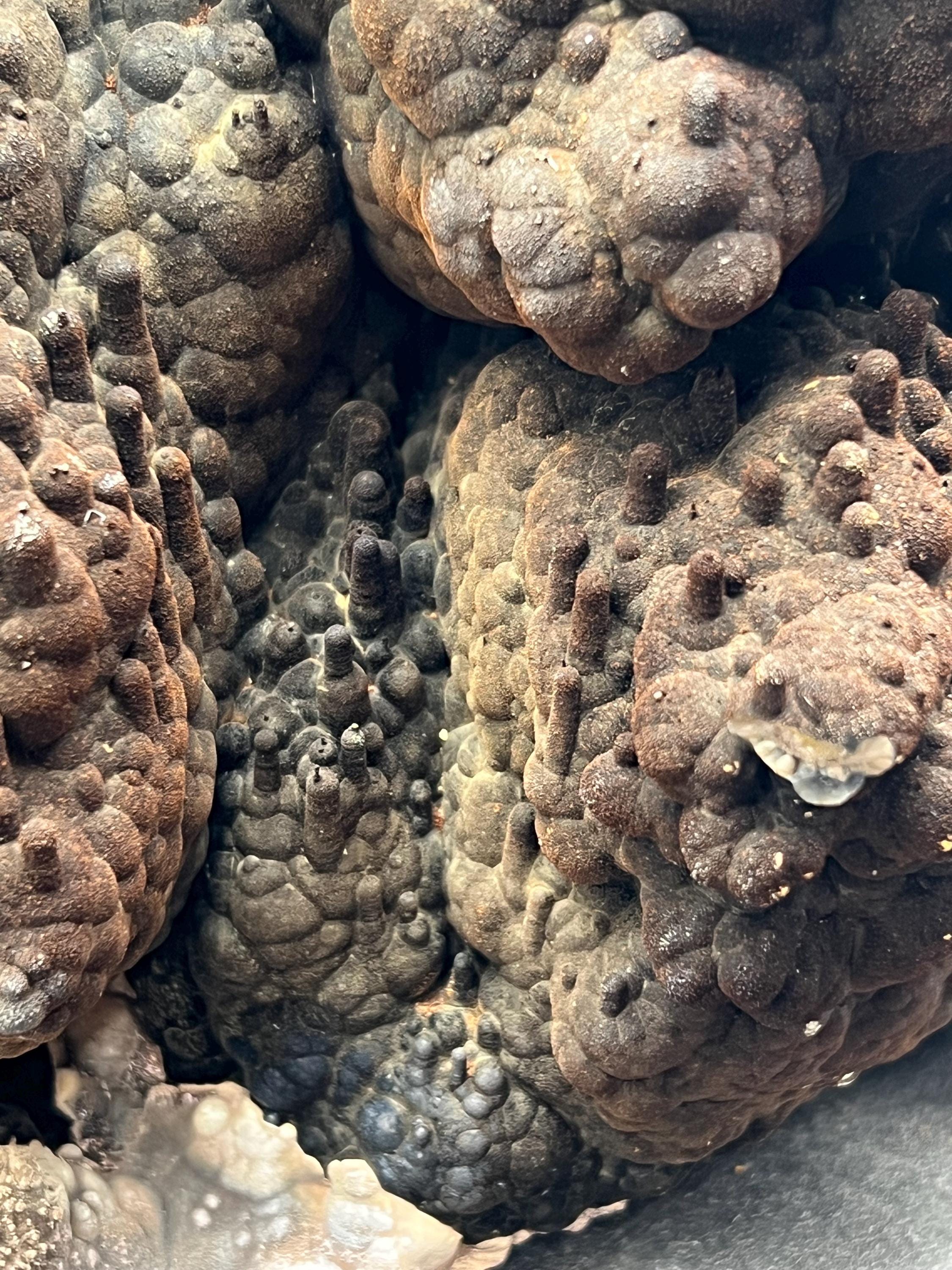 Botryoidal And Stalactite Formed Limonite On Goethite - Crystal Gemstone AE 
