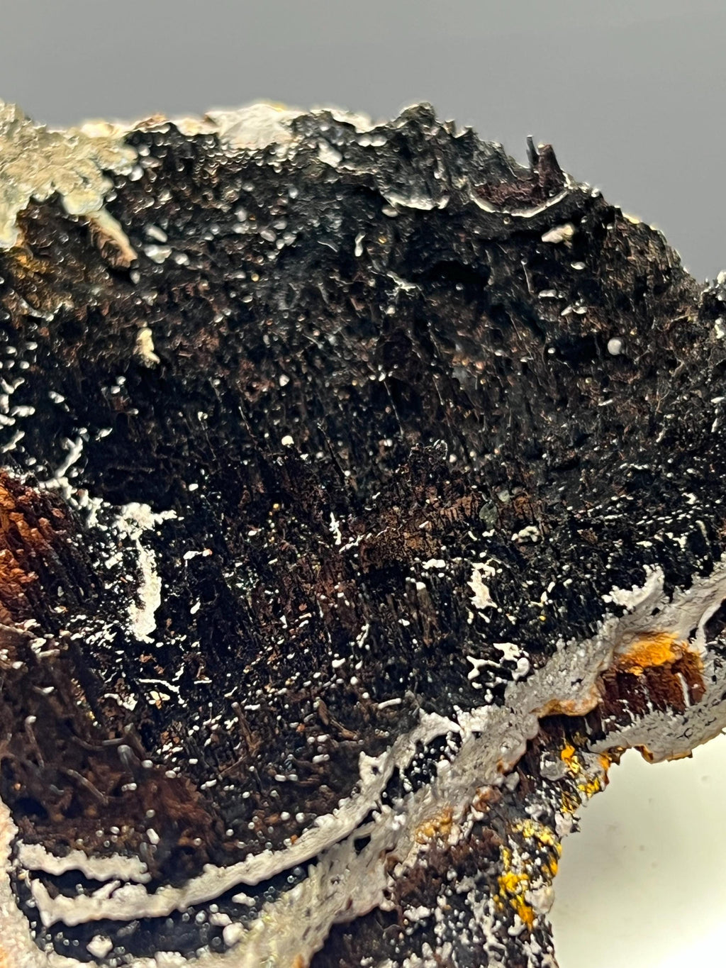 Showy, Limonite With Stalactite Goethite Specimen - Crystal Gemstone AE 